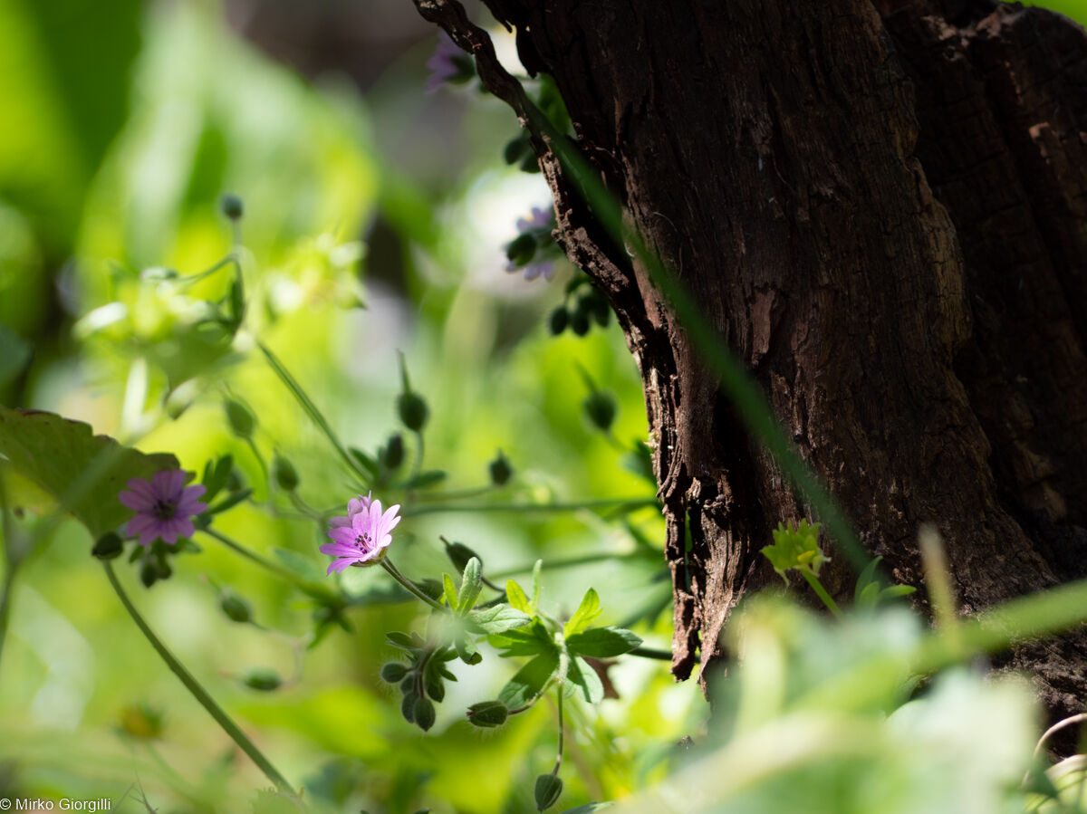 In a ray of sunshine