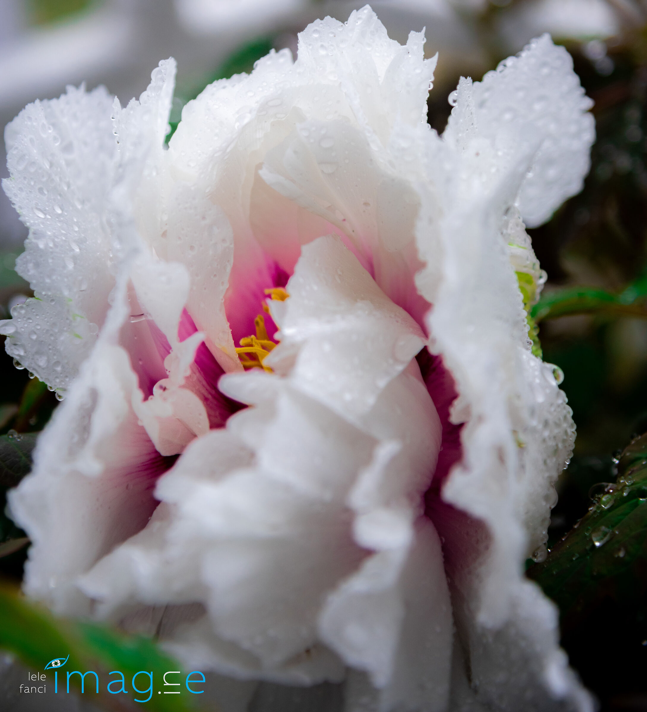 Safe haven in the rain.