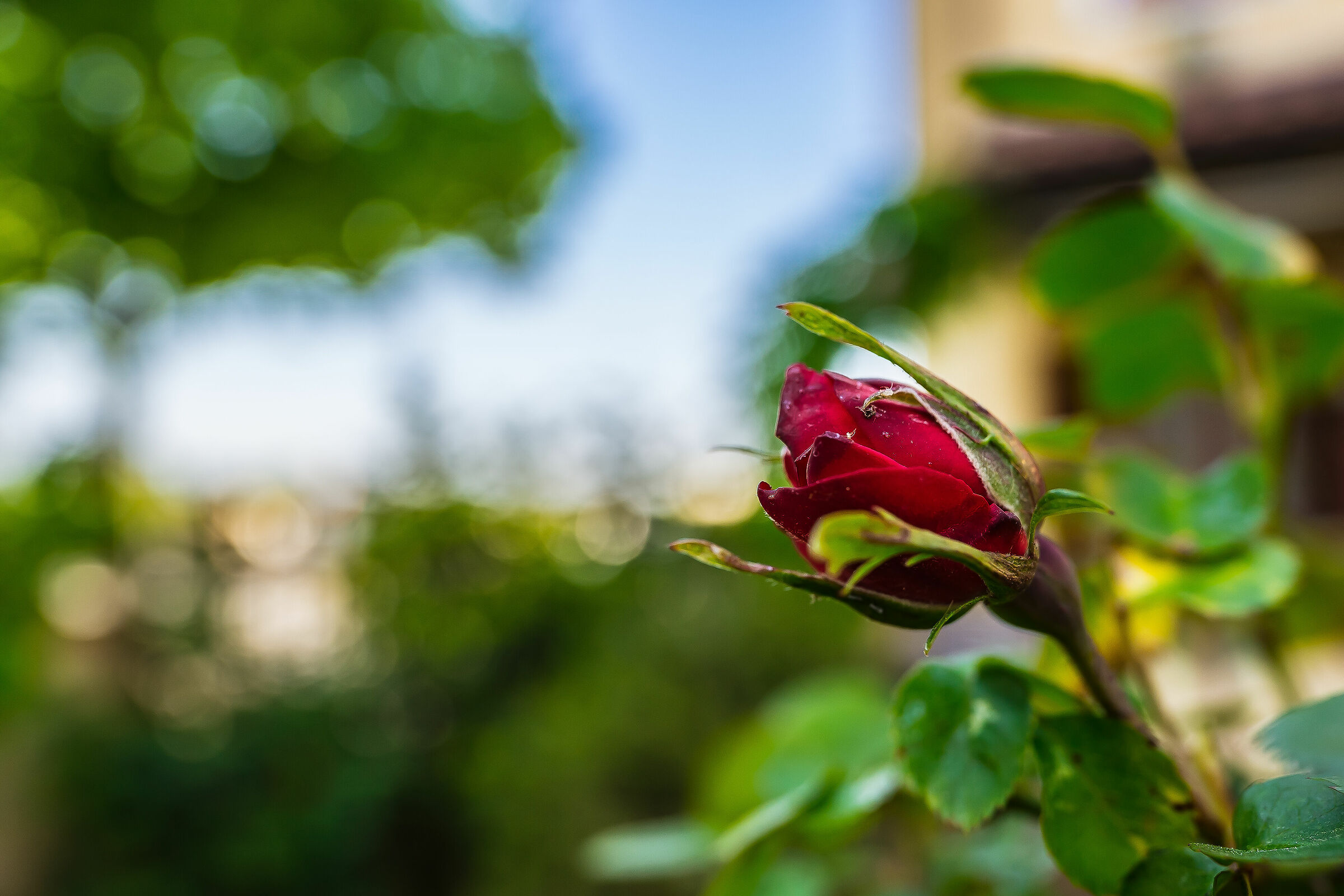 Foto prova fe20mmf1.8