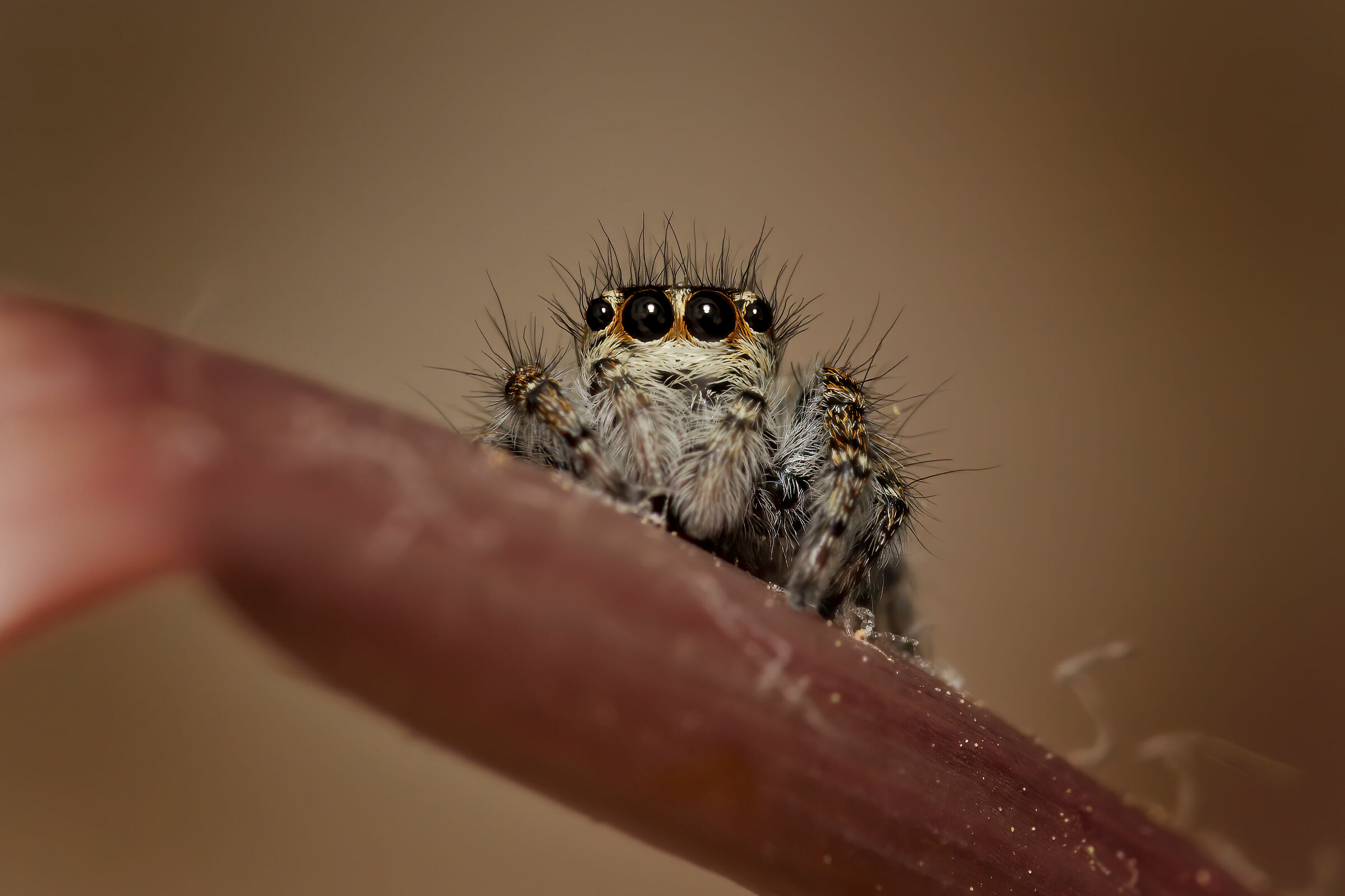 con i capelli dritti!!