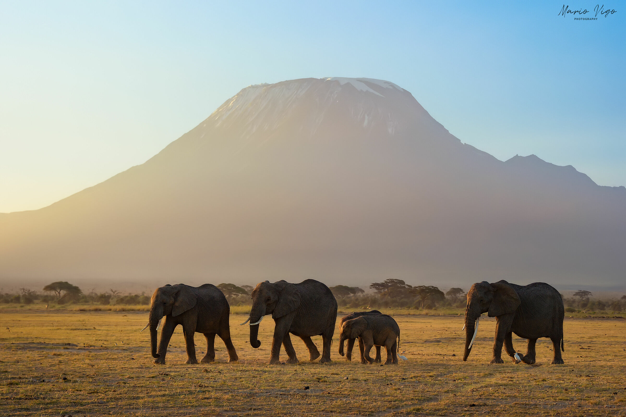 First light in Amboseli