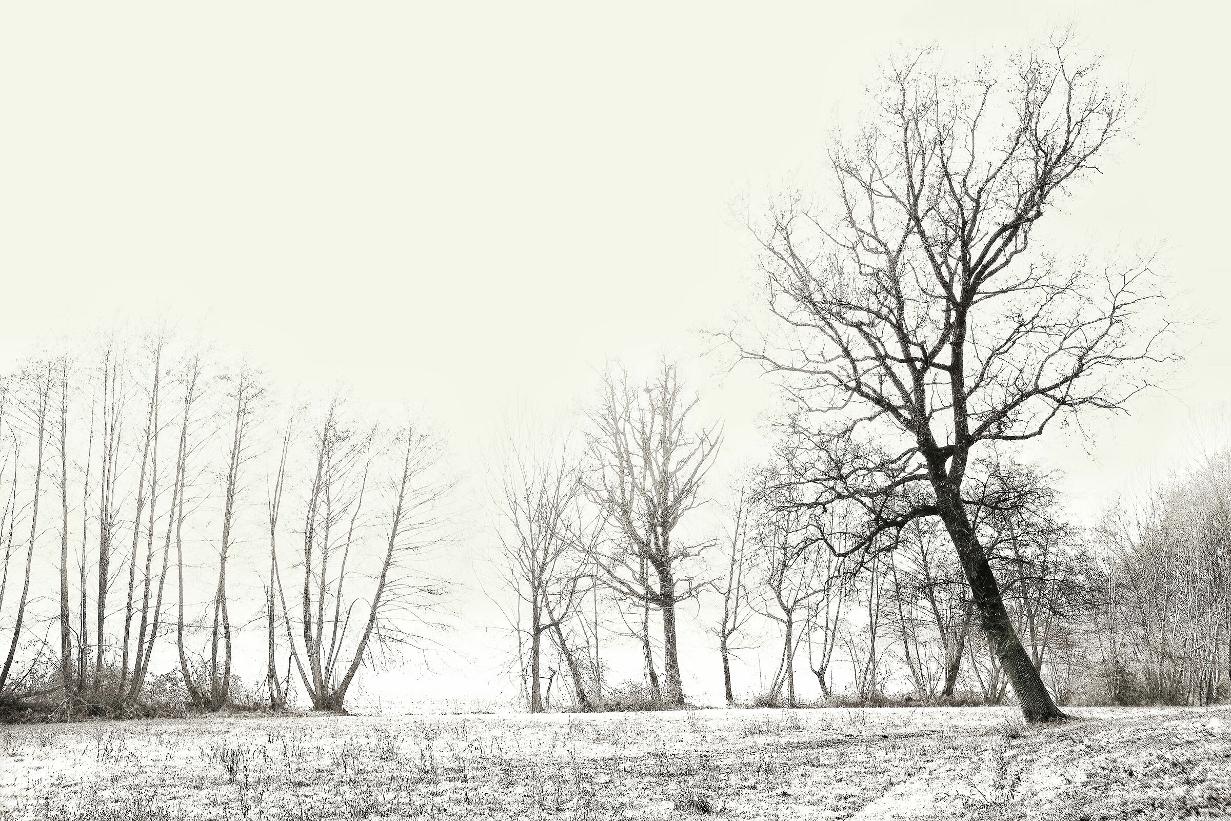 Non ancora primavera