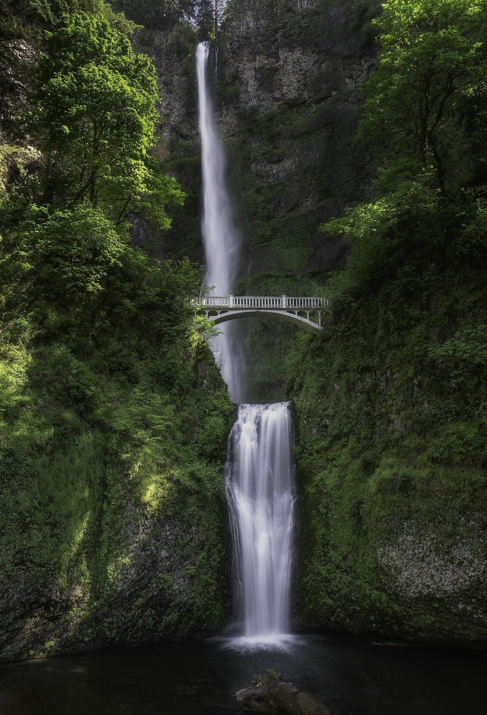 Multnomah Falls and Benson Ridge - OR