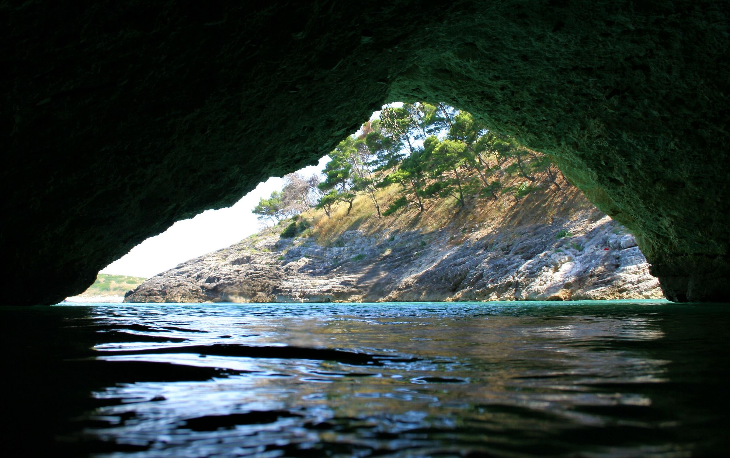 From a Gargano cave.