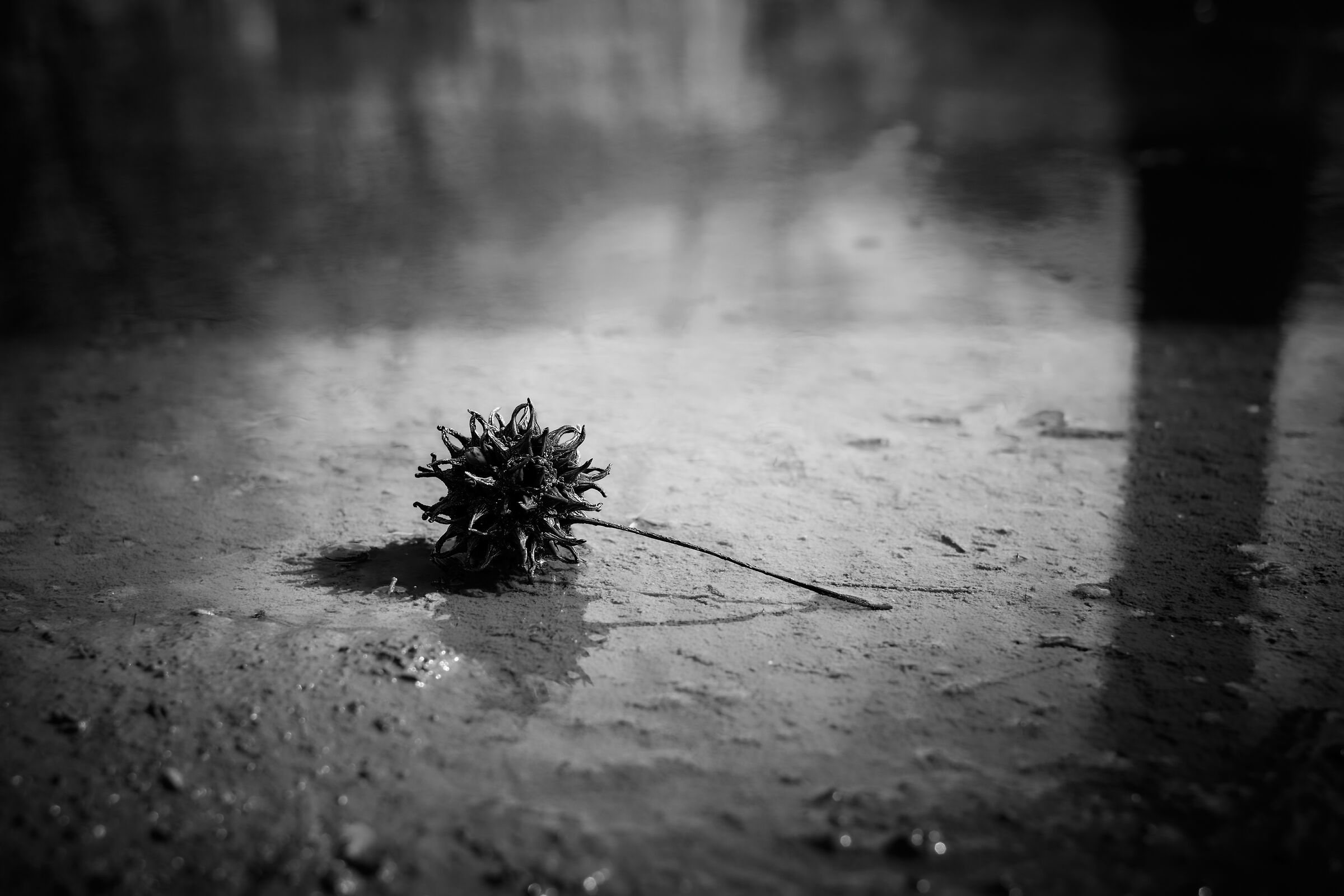 aspettando la primavera 1