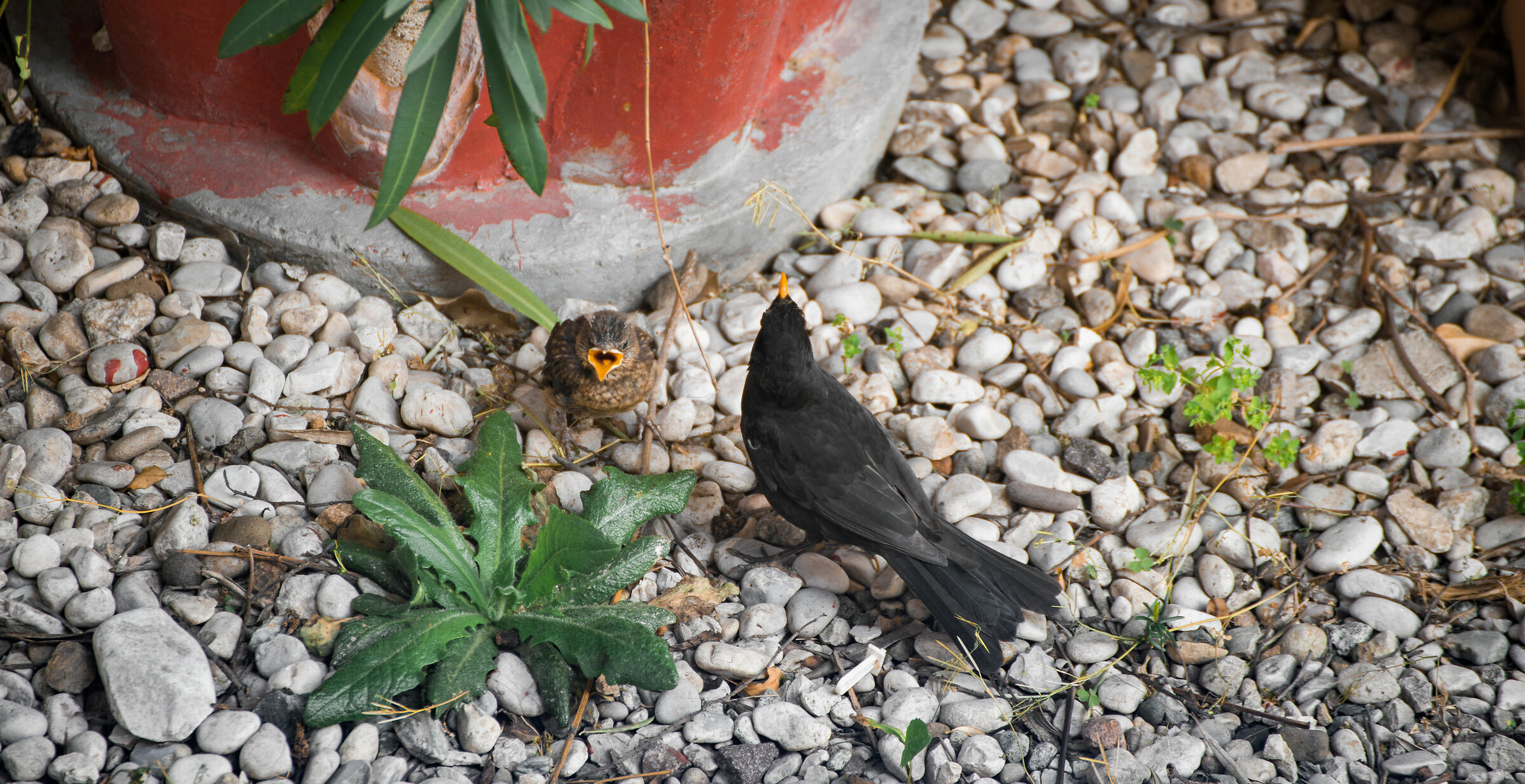 Figlio e Papà riuniti