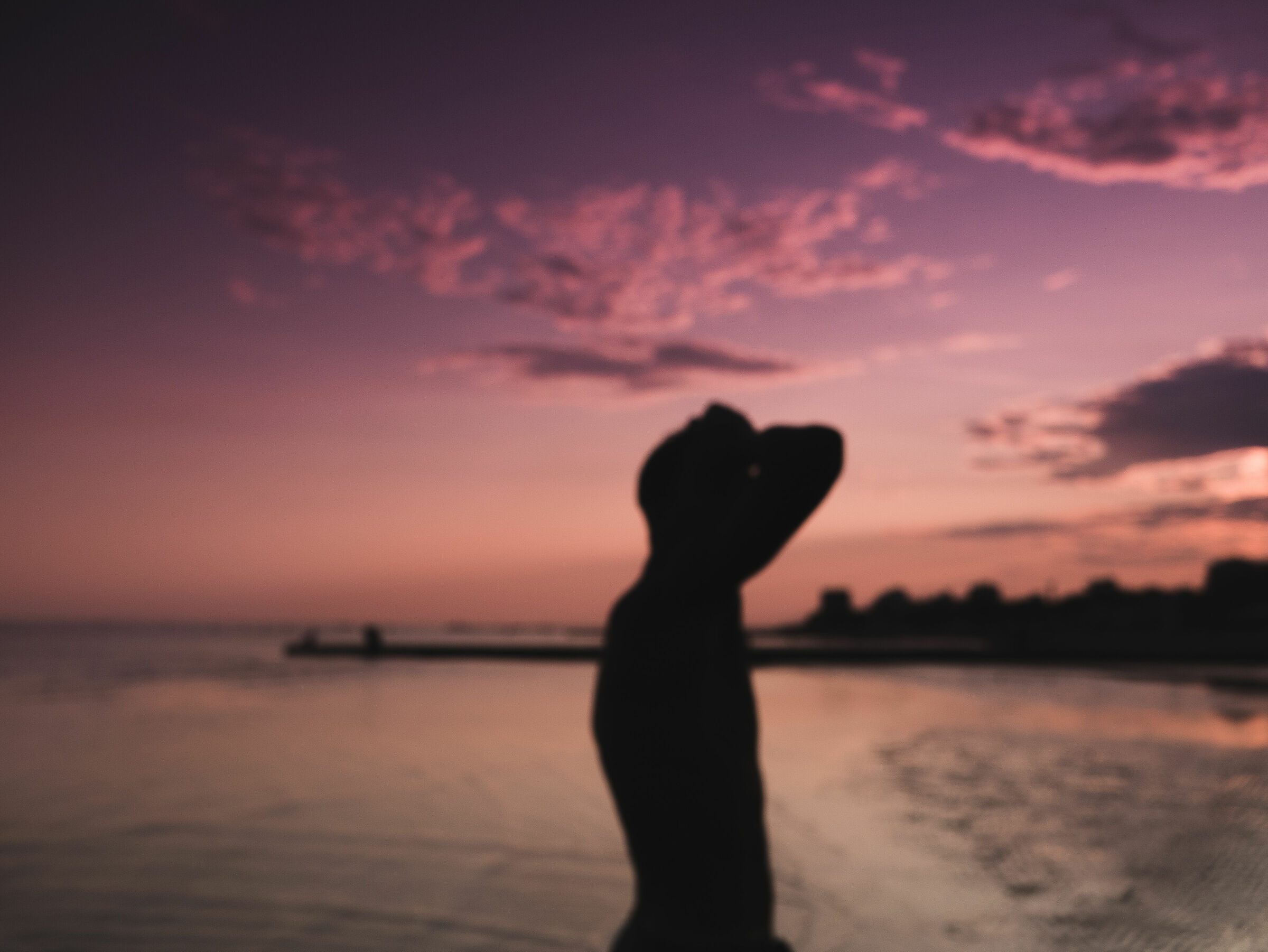 Occhiali come filtro. Al tramonto