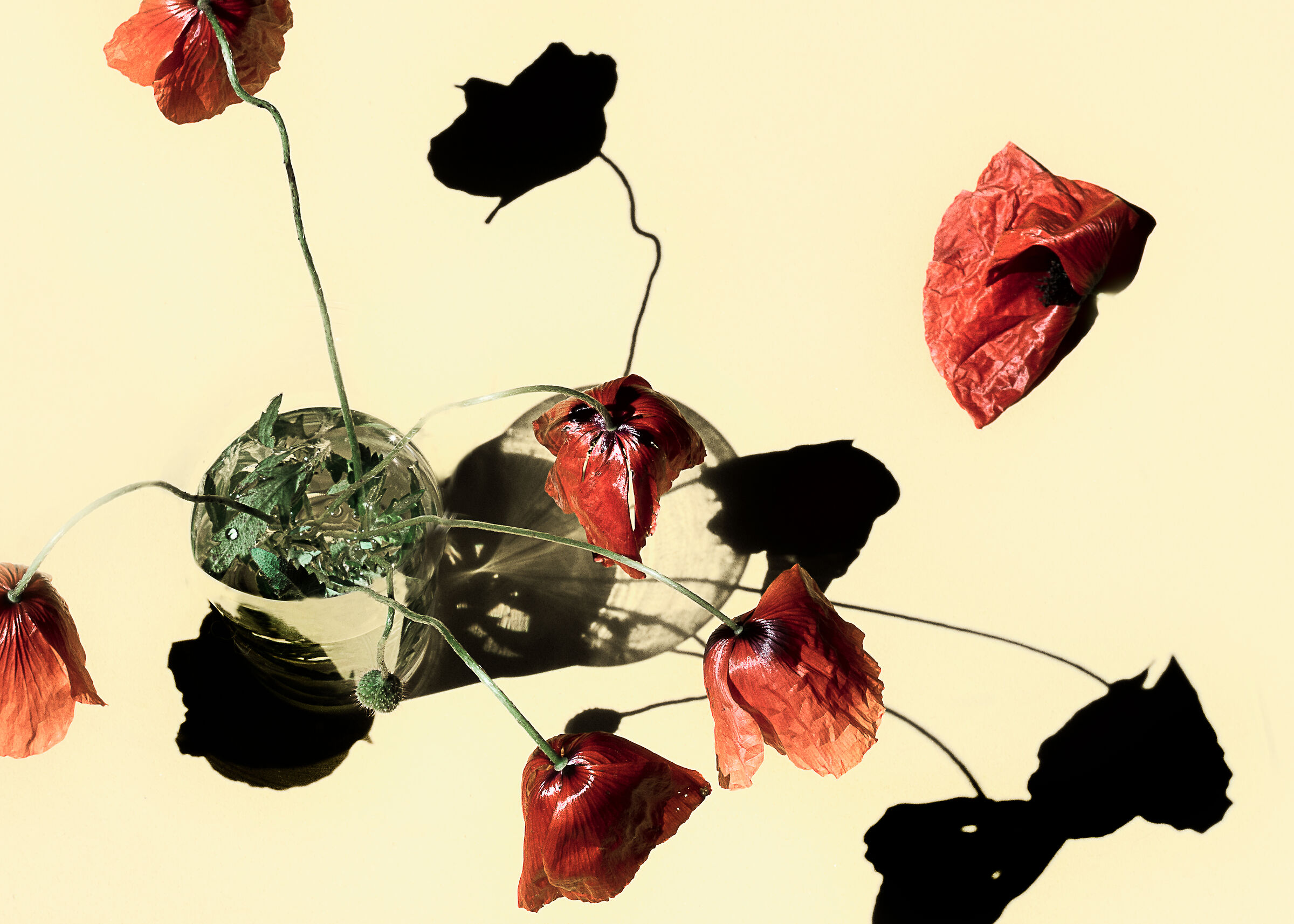 nothing is what it seems