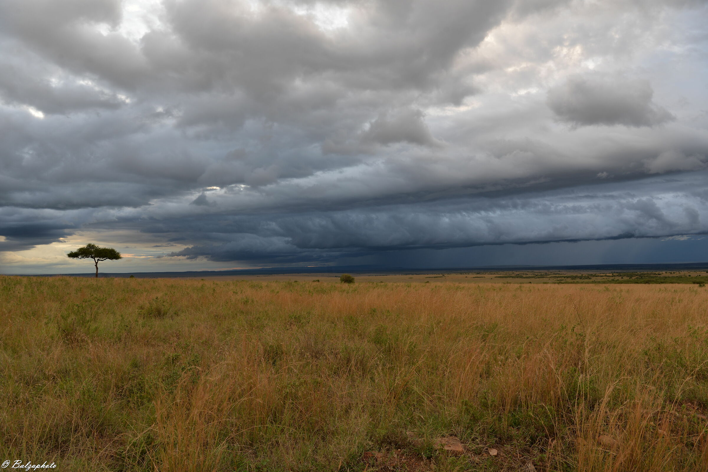 Masai Mara ormai si fa sera e il cielo si fa cupo