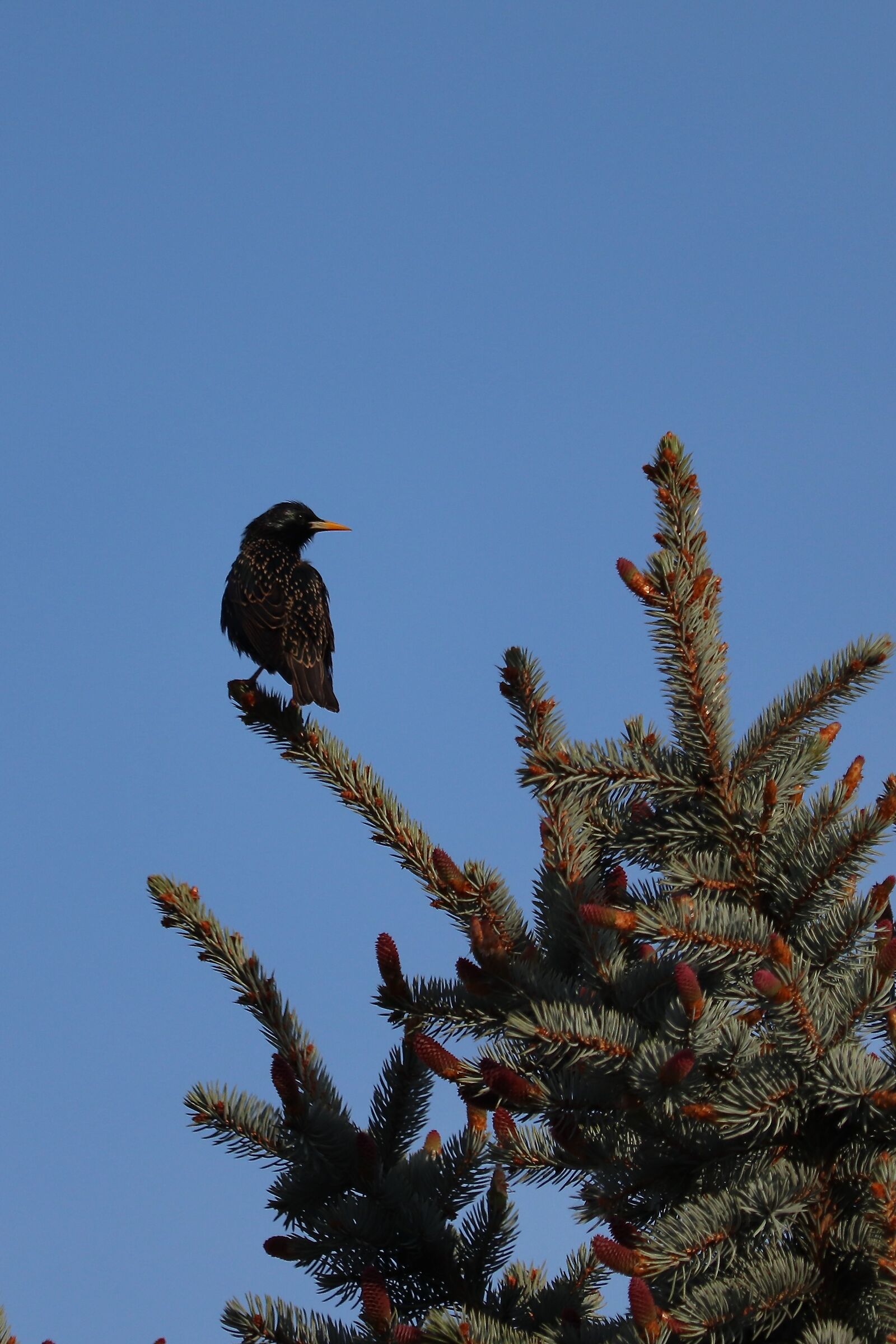 Wait until I profile