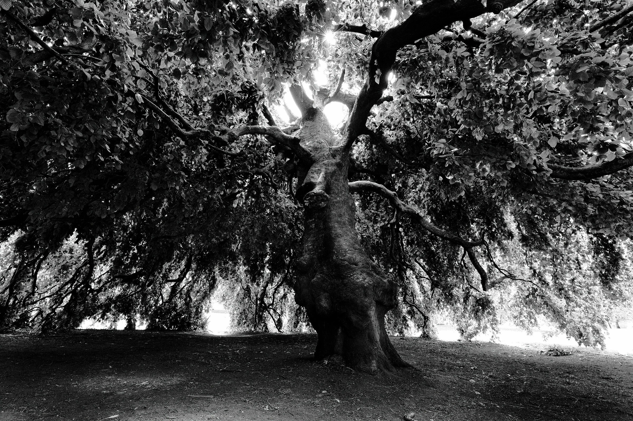Hide Park, California