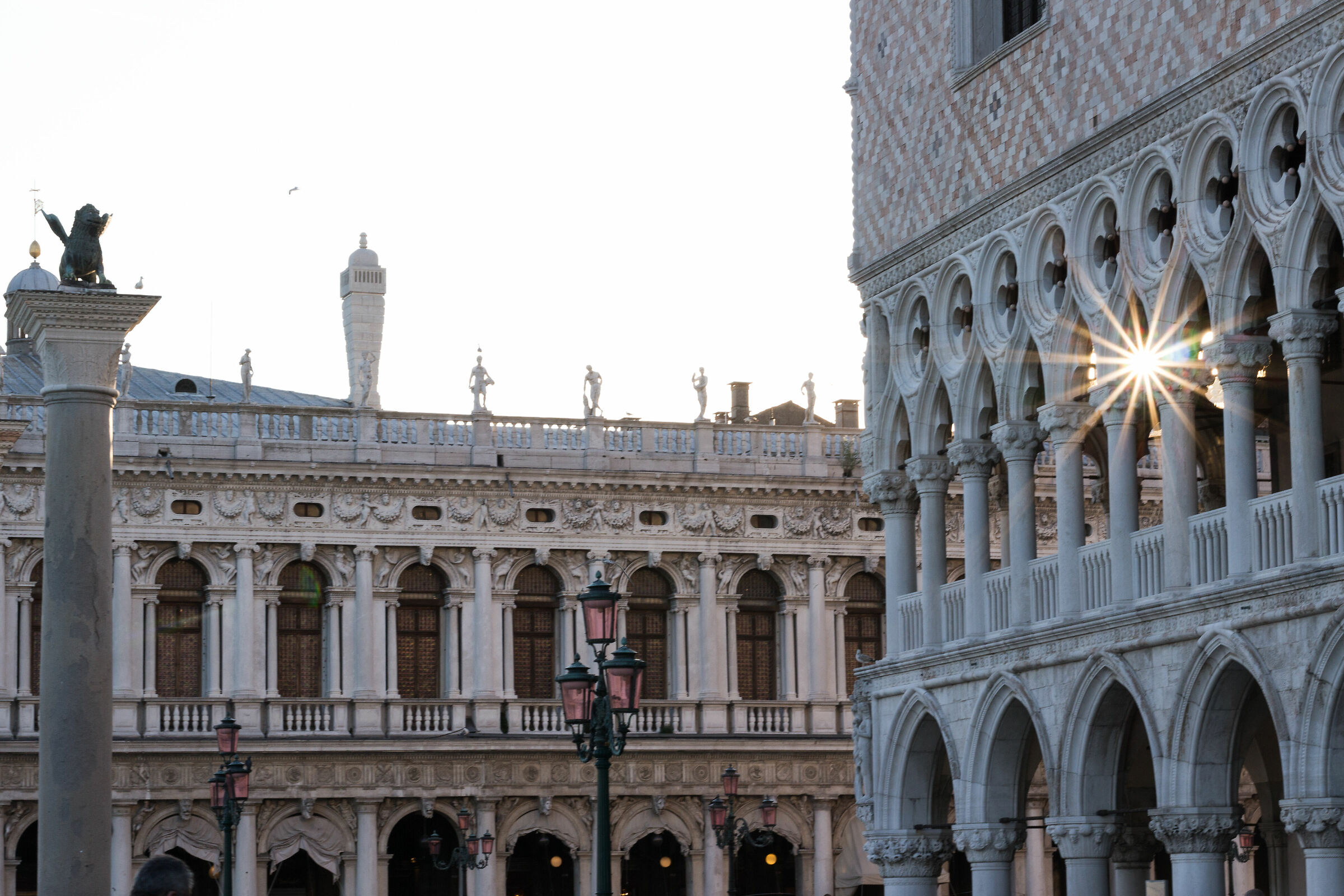 A star at the Doge's Palace