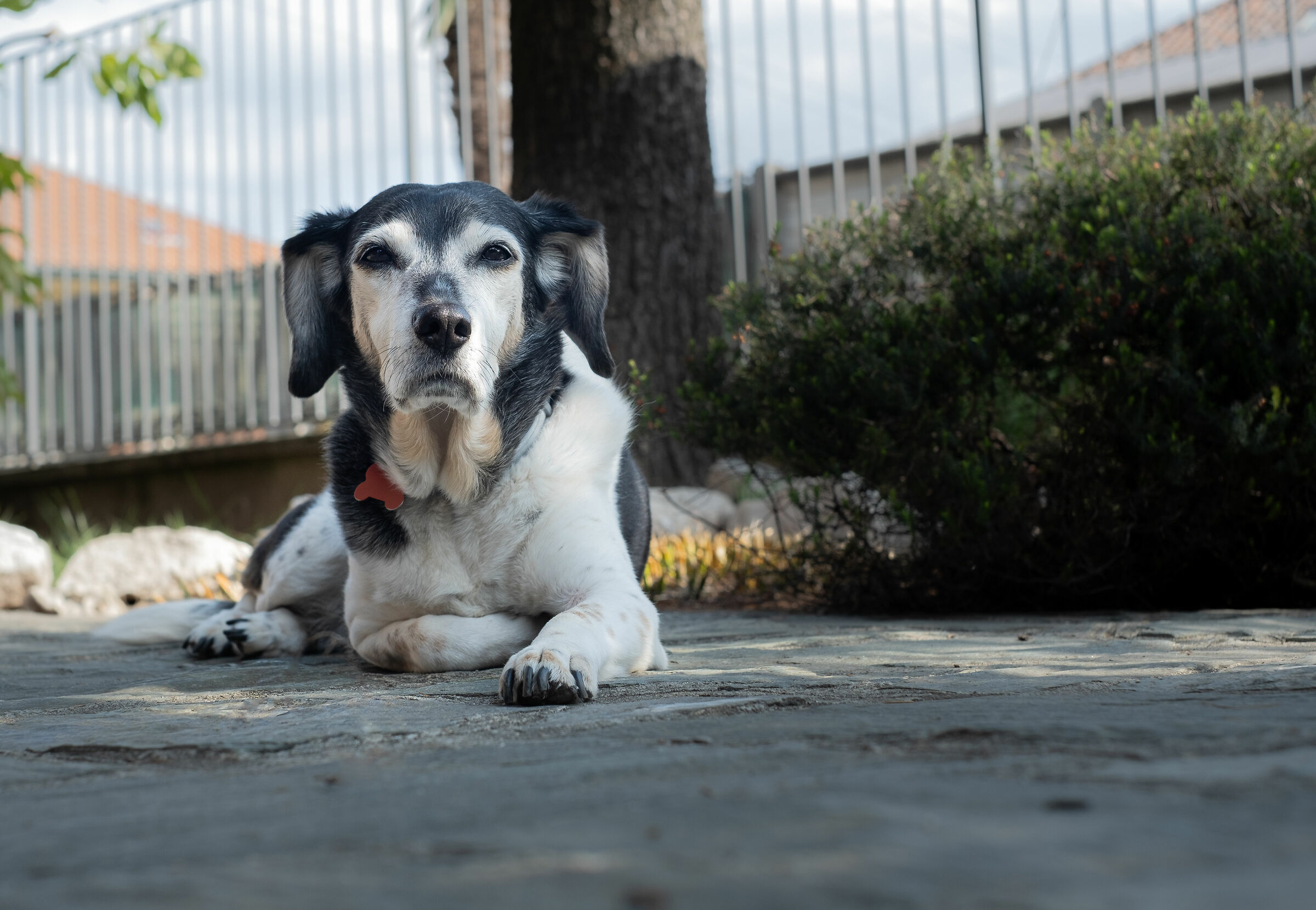 let's look at each other