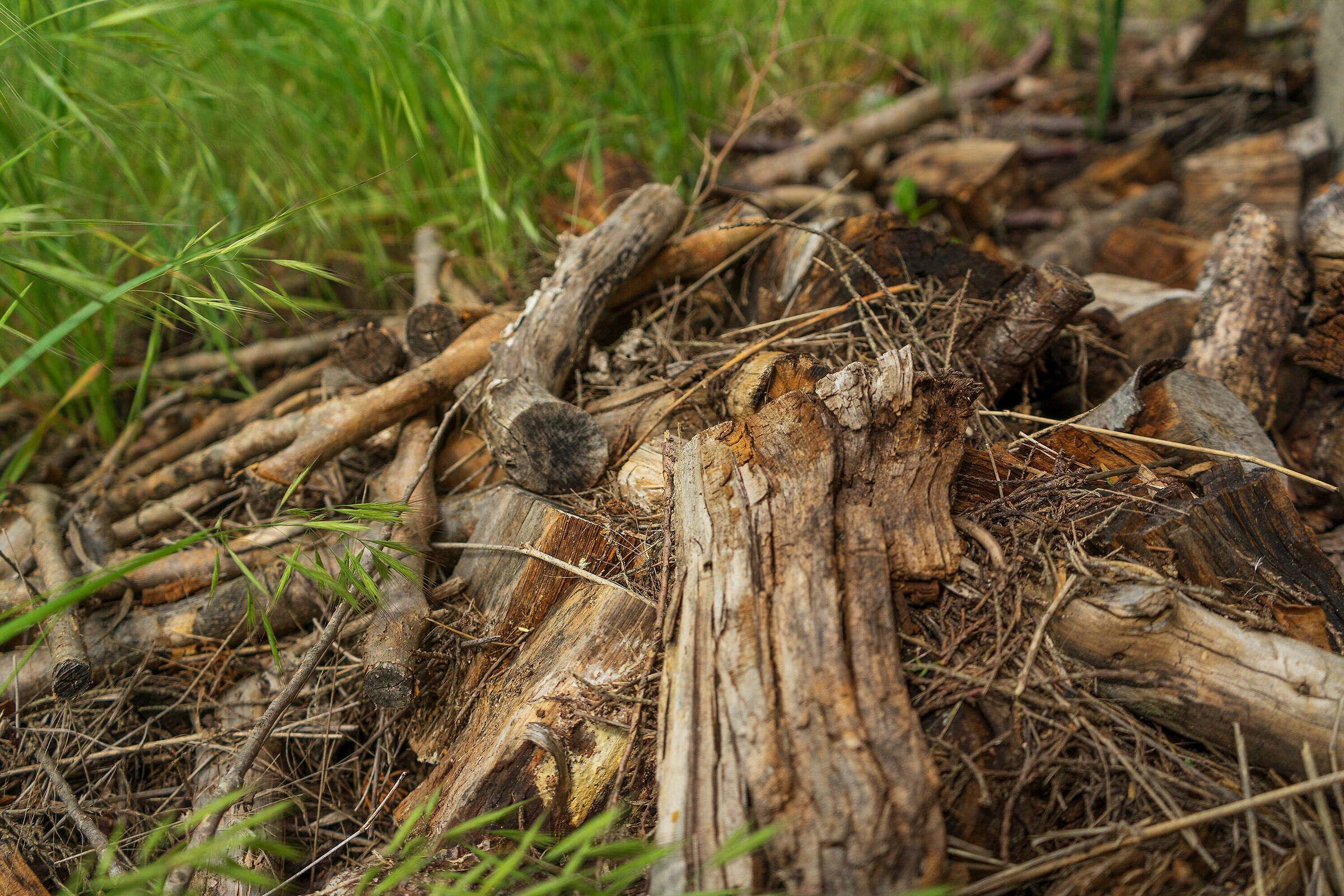 Prepares for the cold season