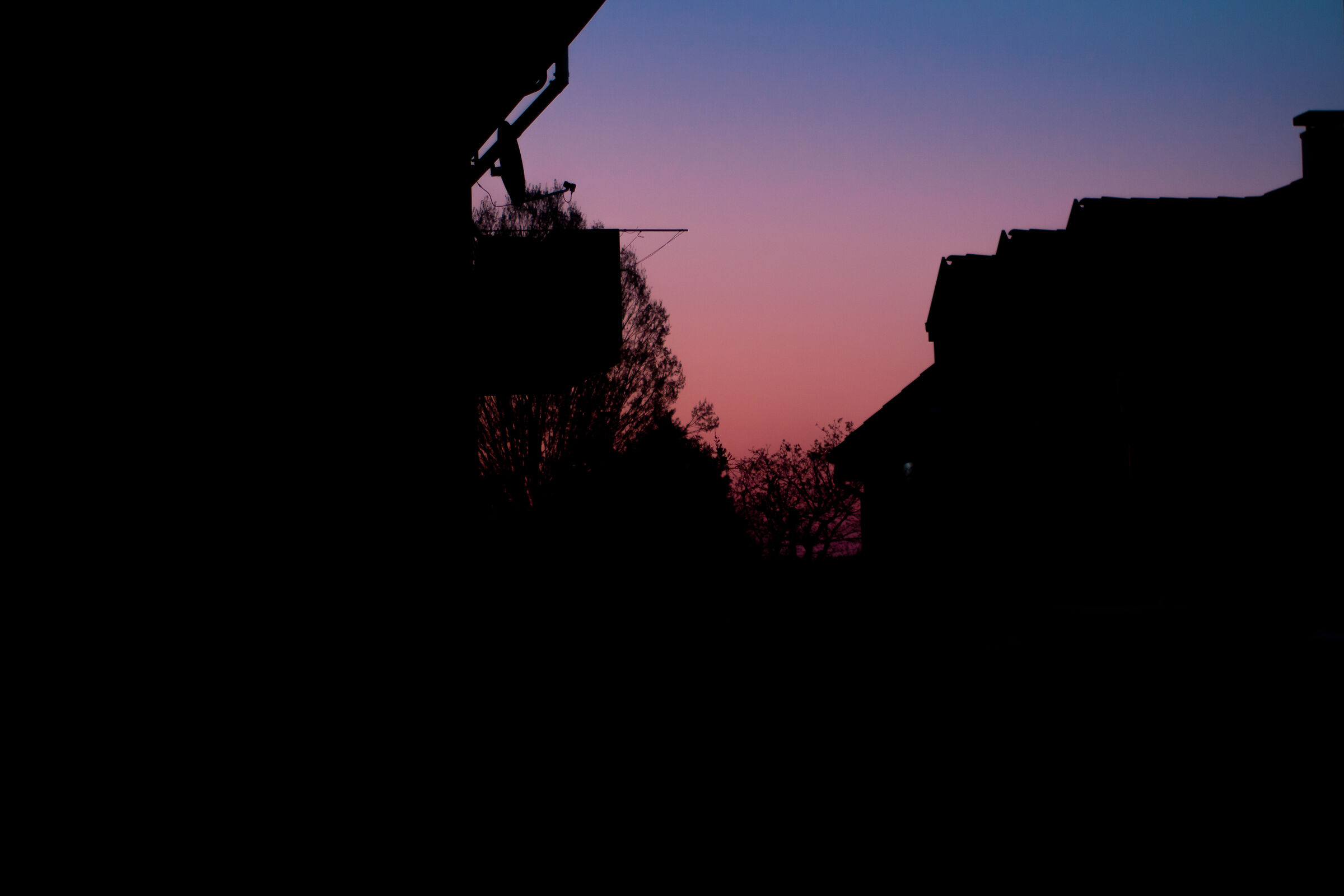 Sunrise during captivity