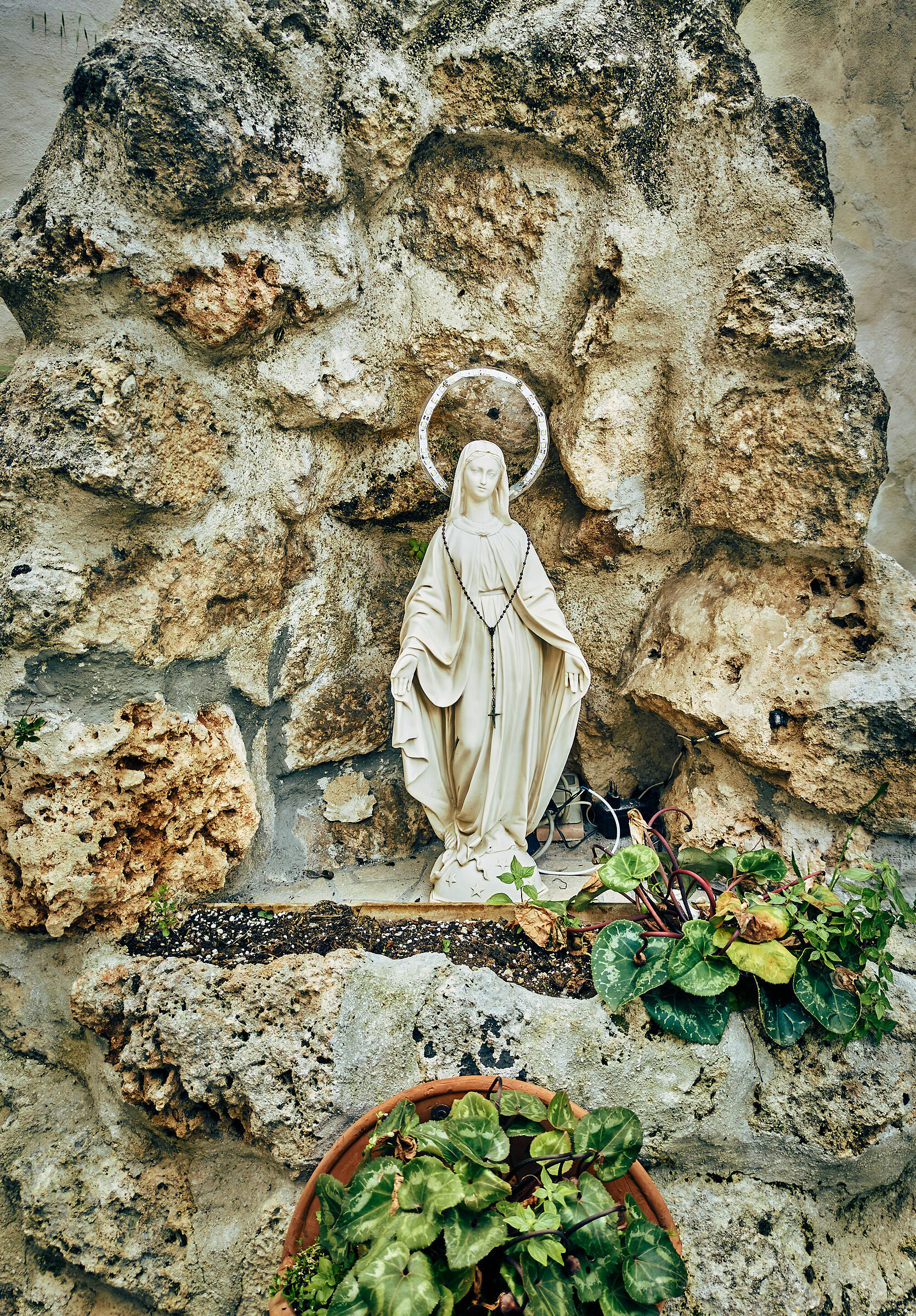 madonnina-colored test