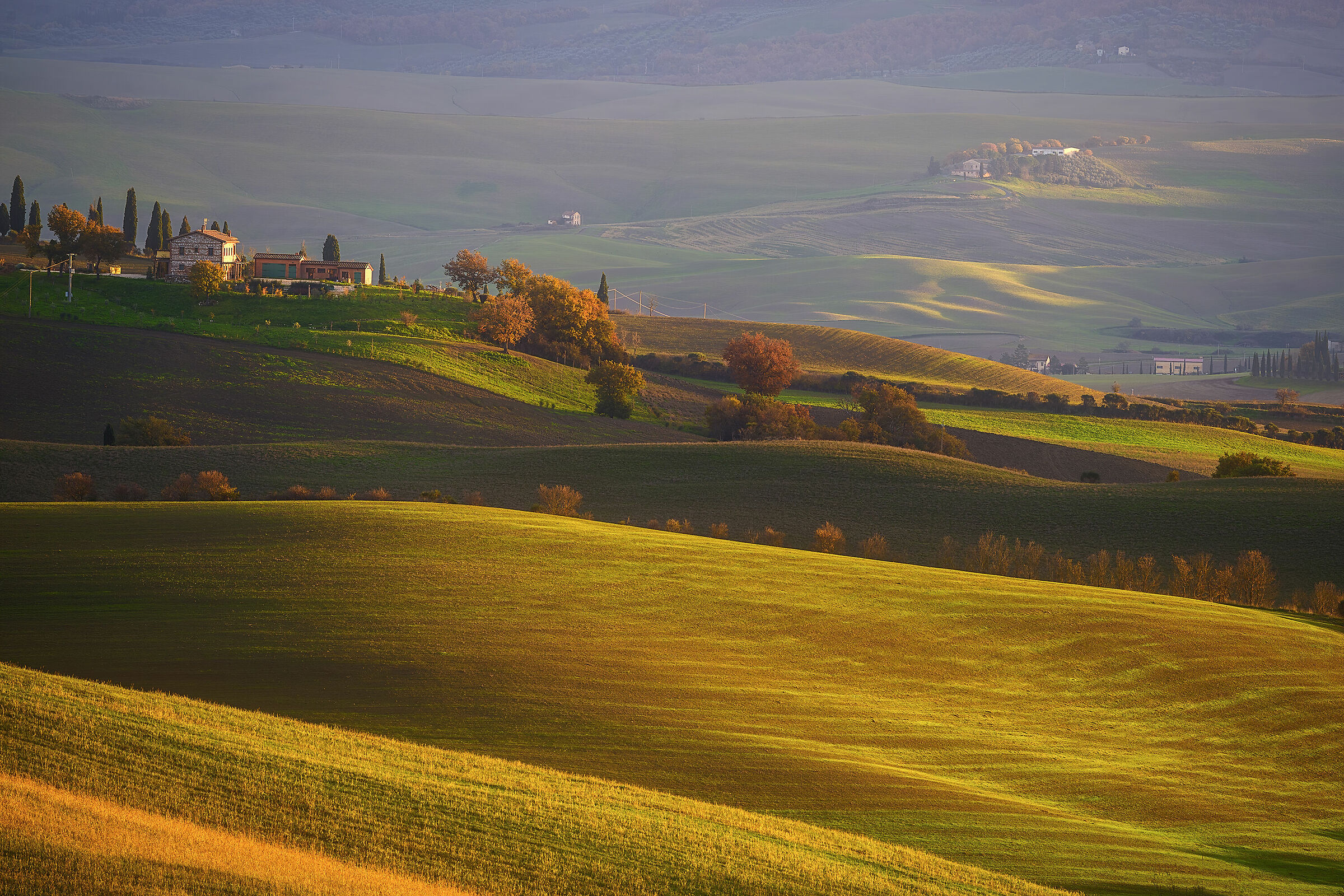 Colline in autunno