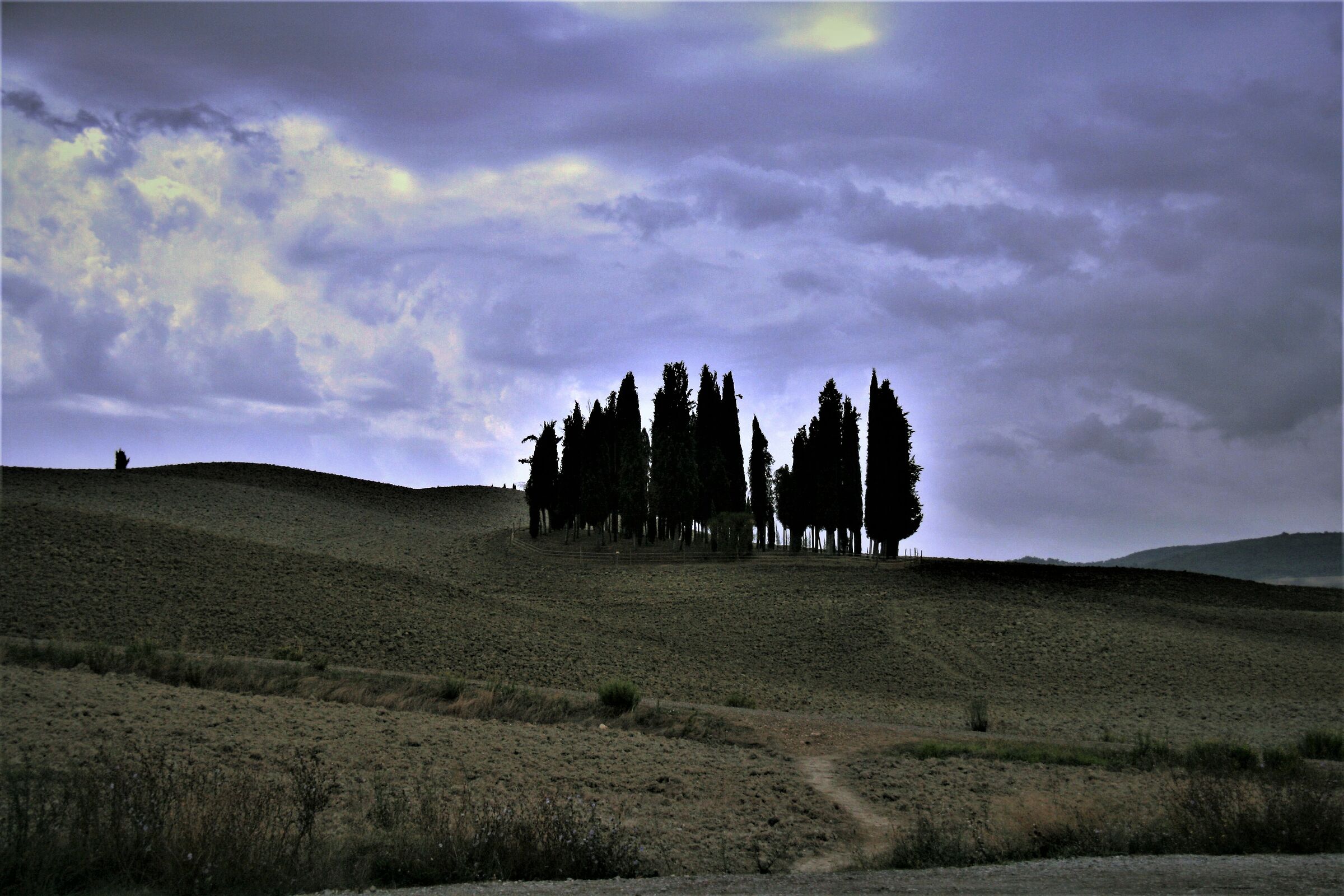 La collina dei cipressi