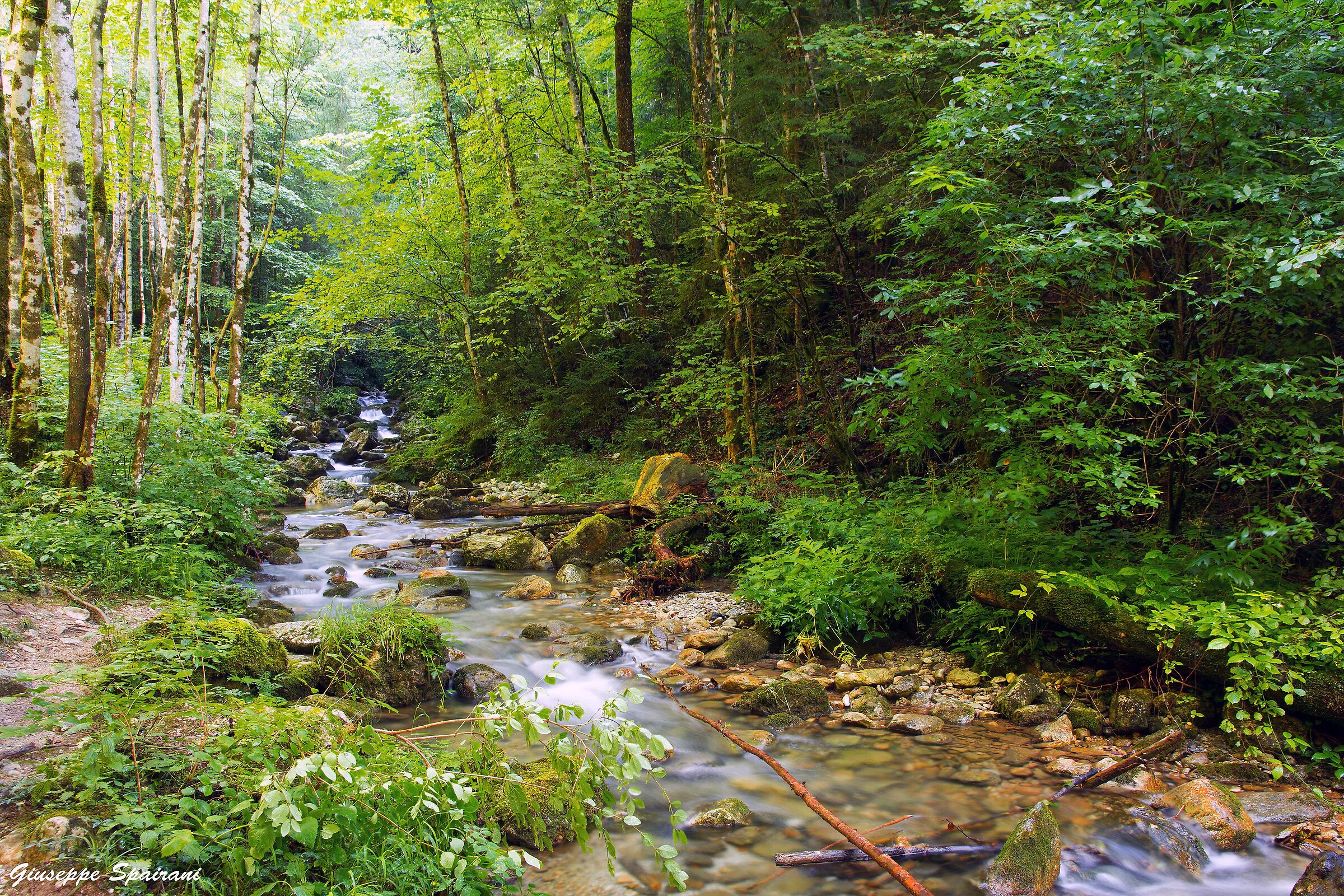 natura incontaminata