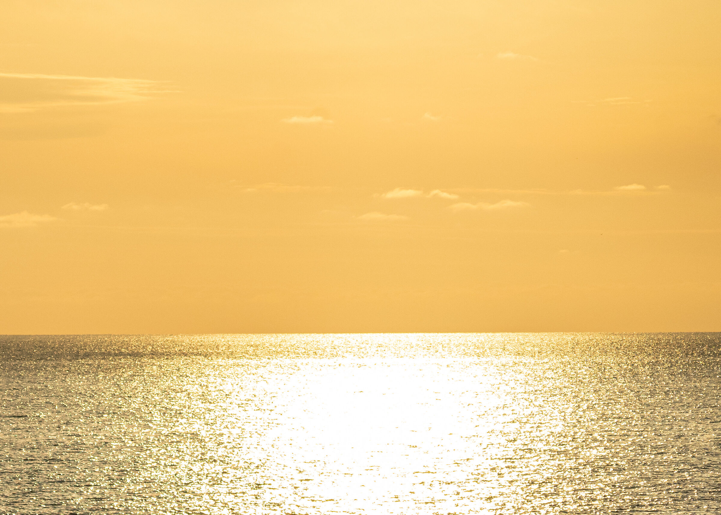Landscape during quarantine