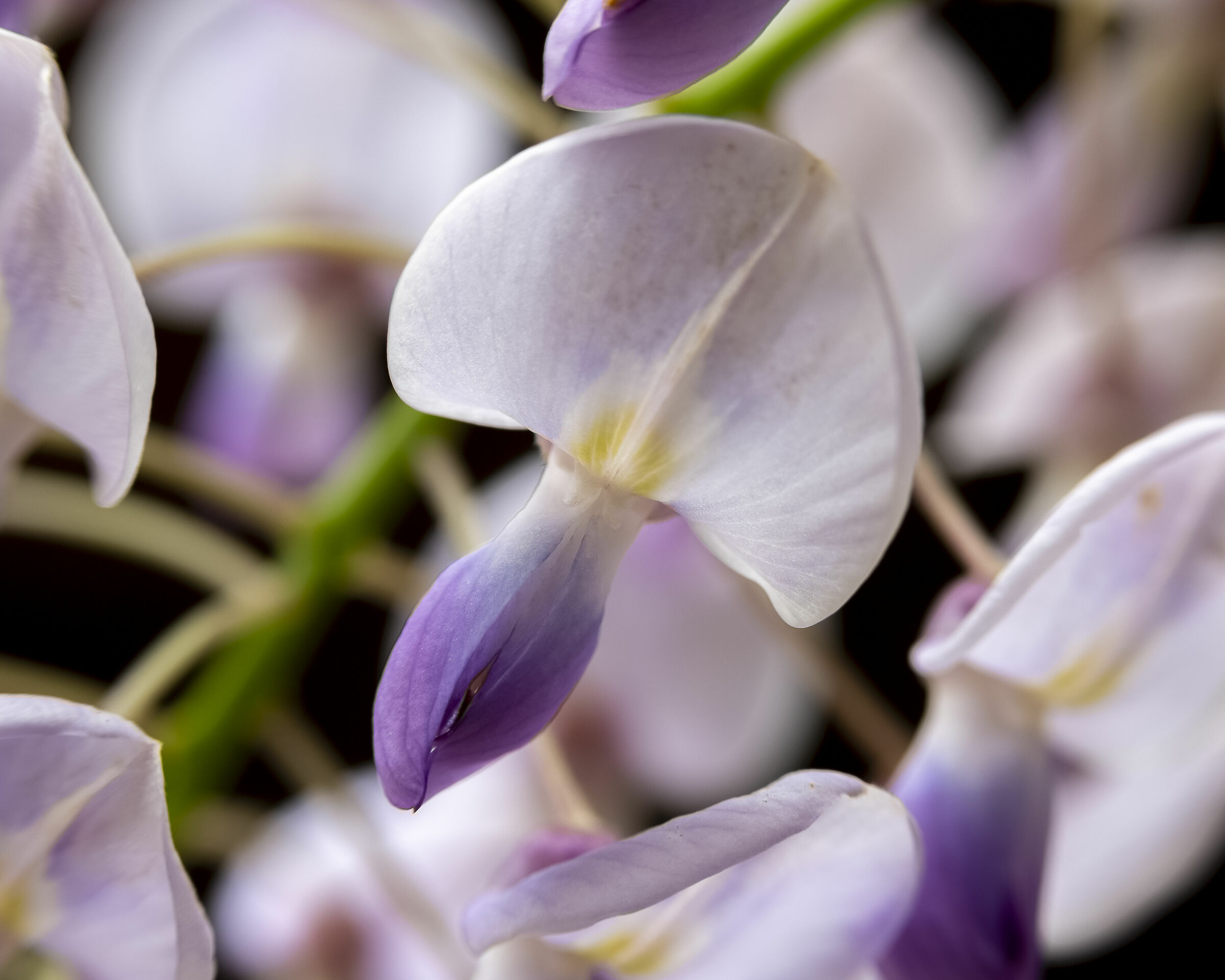 Continuano le prove... e mi sa per molto ancora