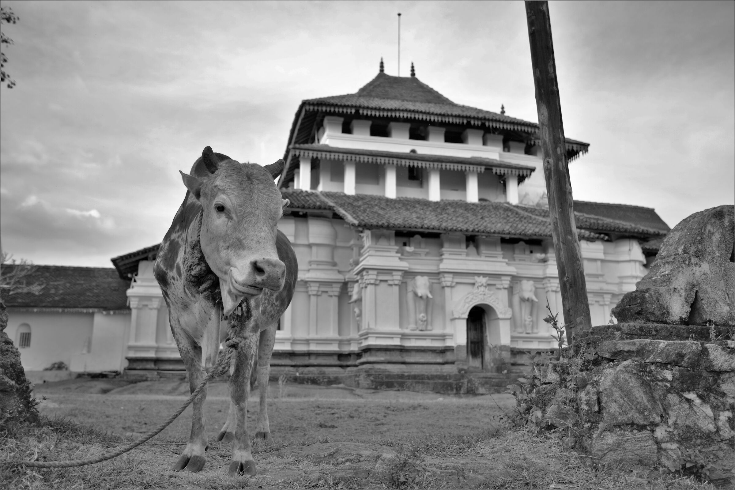 Veggie Paradise - Lankatilaka Temple - Kandy