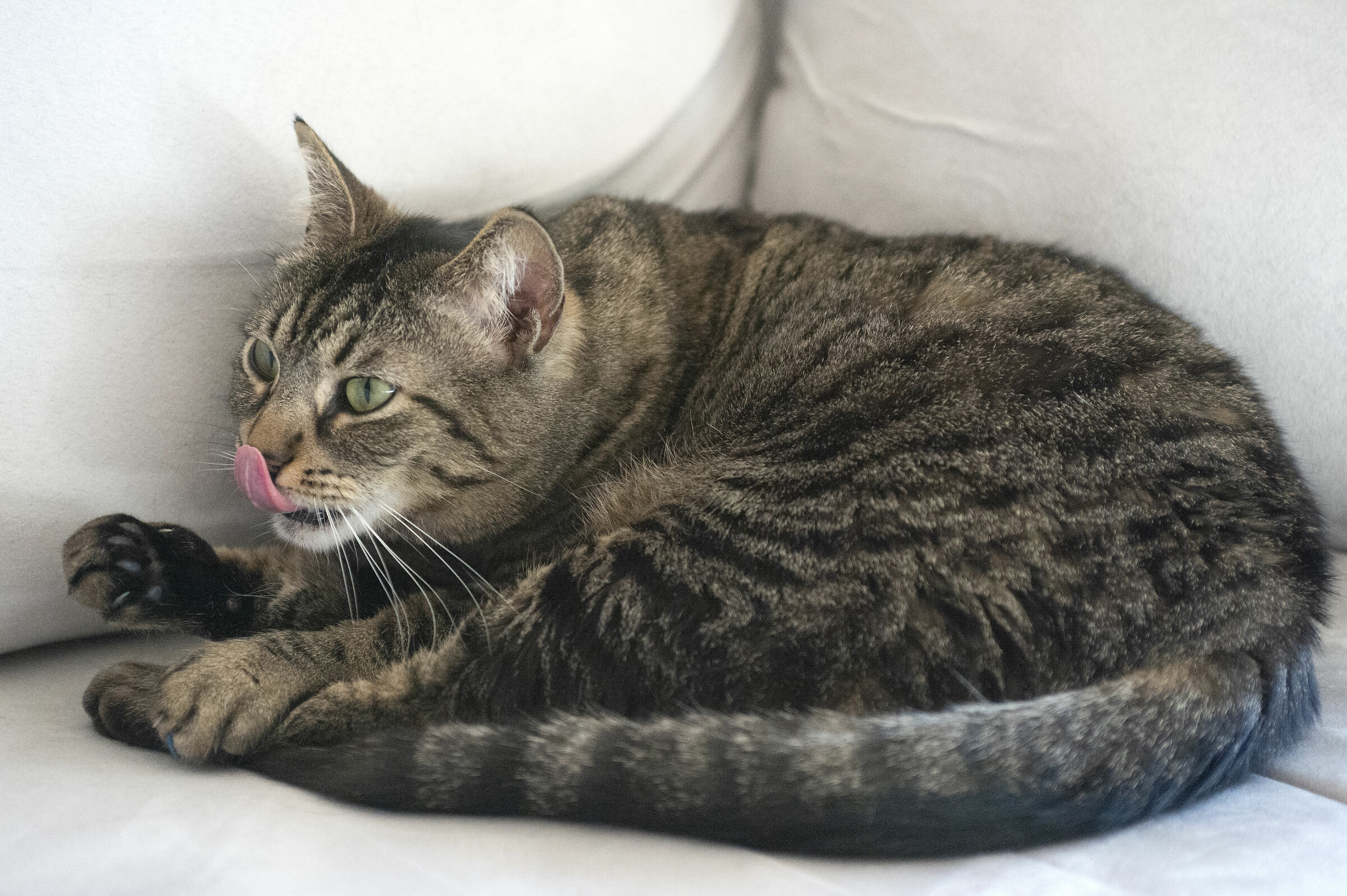 ... The only happy one...