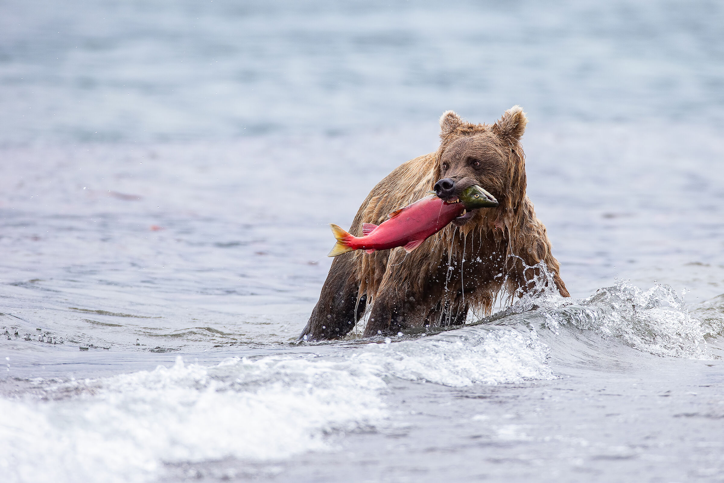 let's watch our backs