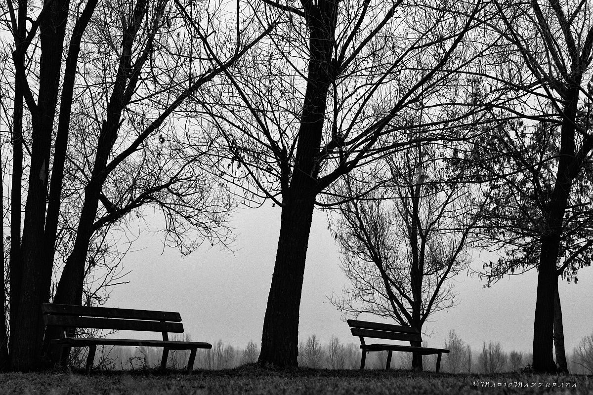 Benches