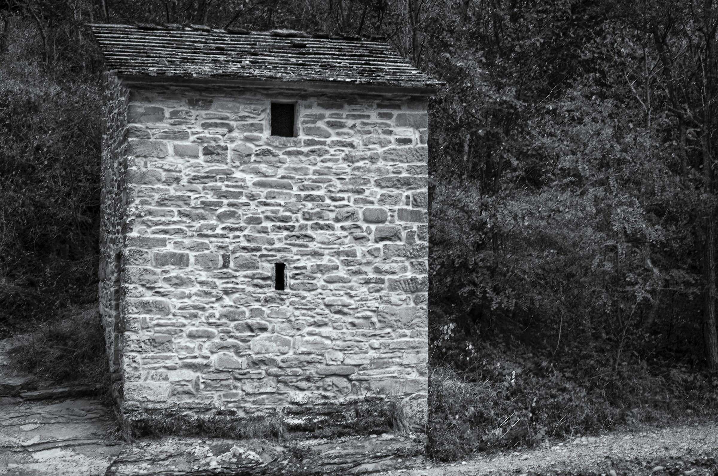 essiccatoio per le castagne