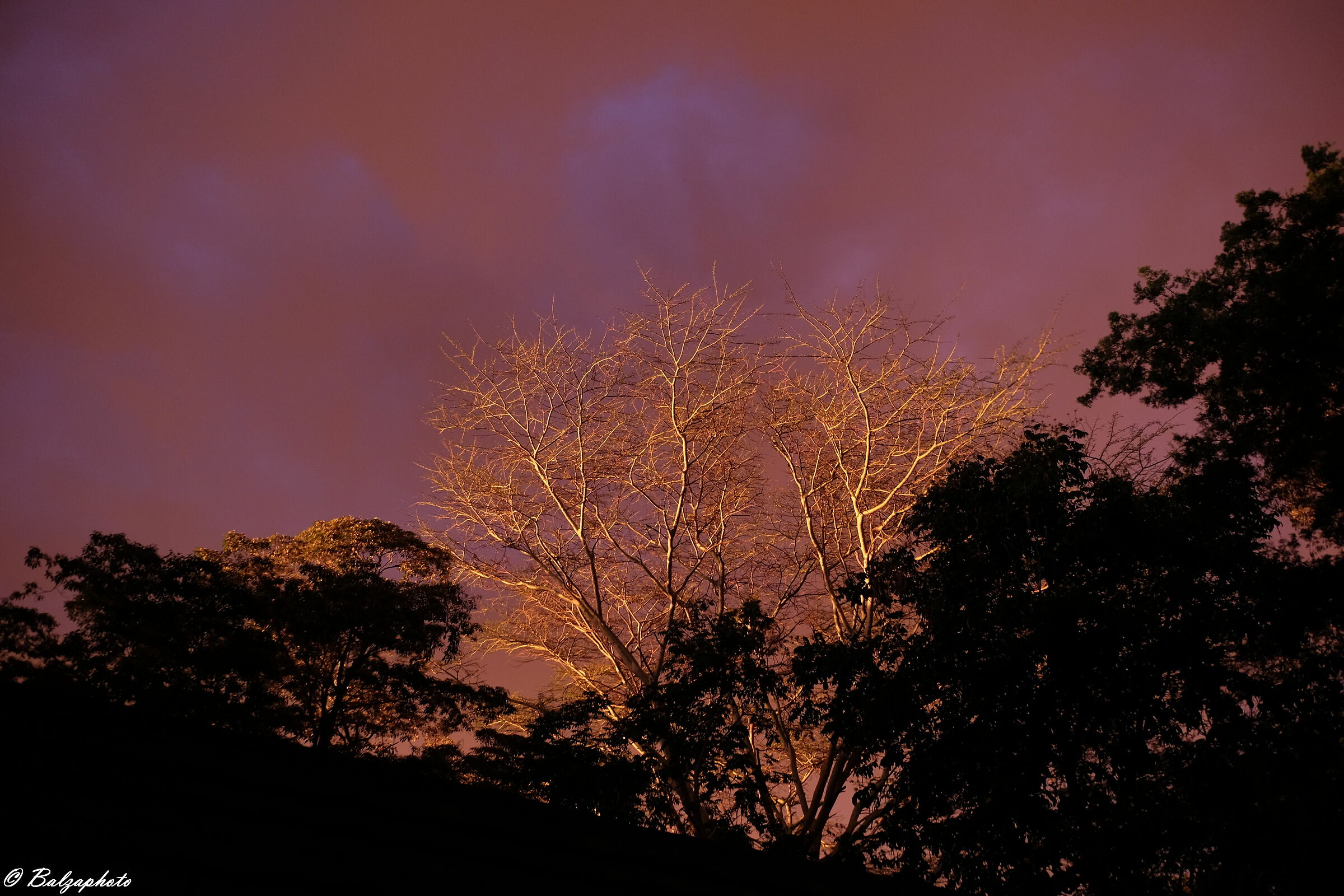Storm coming to the shores of Lake Naivasha