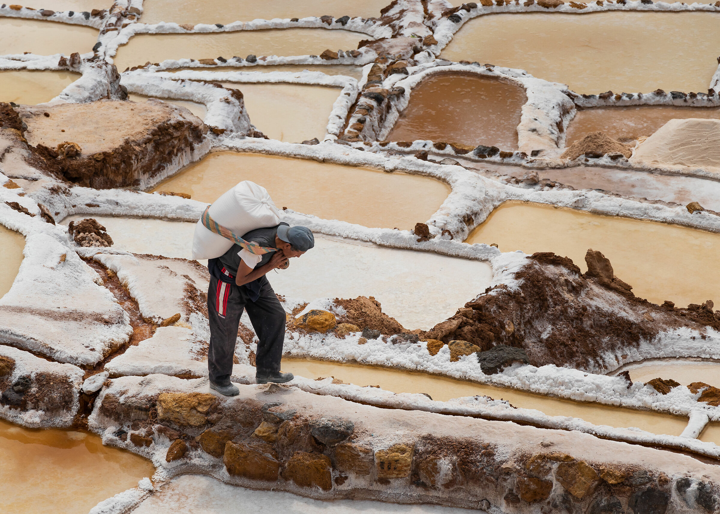 I padroni del sale...