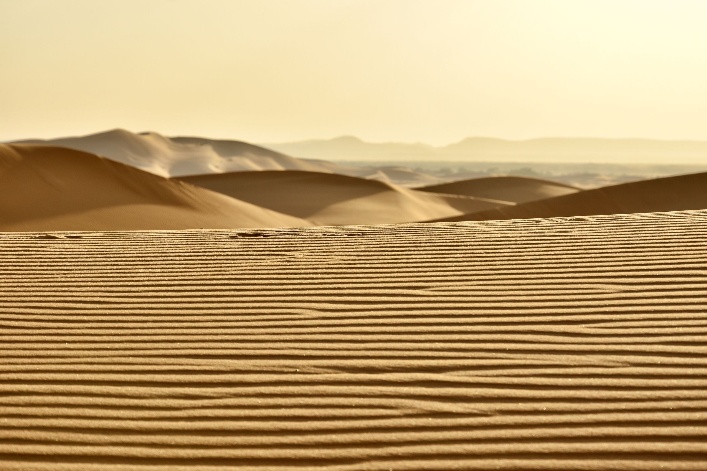 Righe deserte