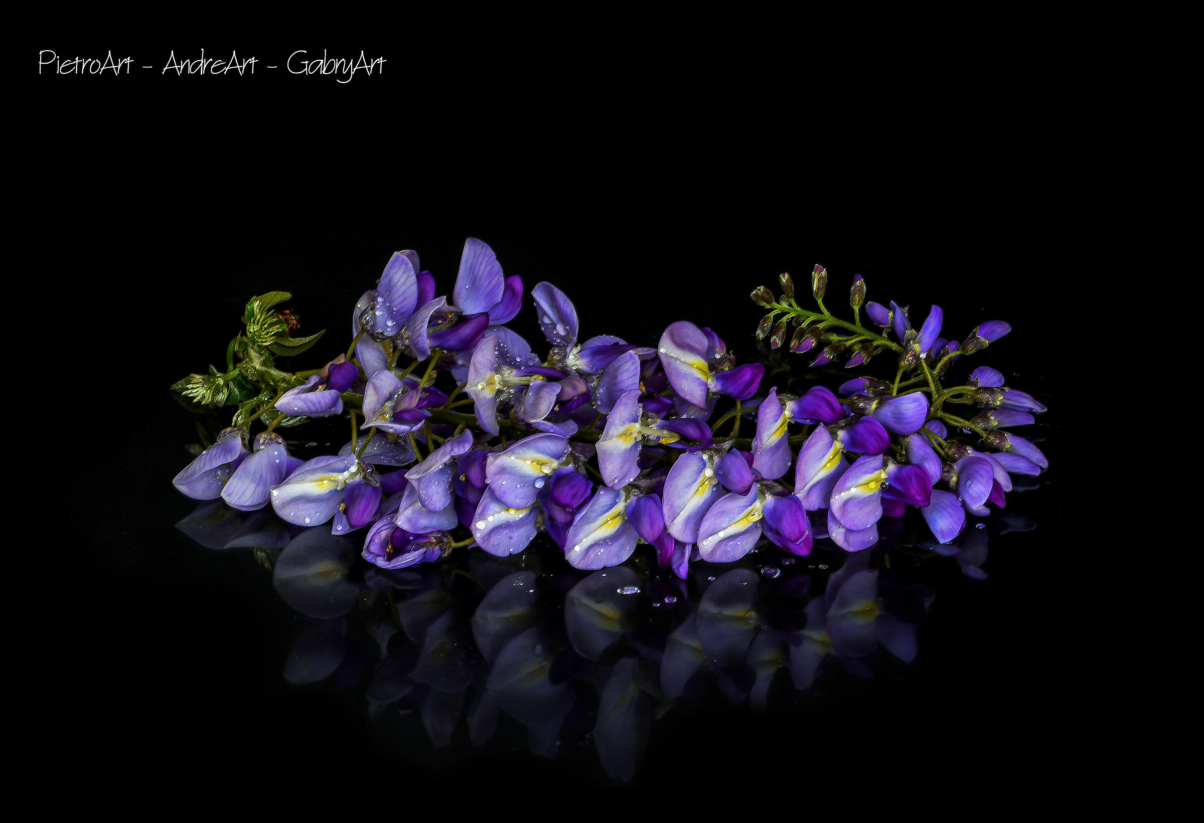 A Great Emotion ... with Andrea and Gabriele