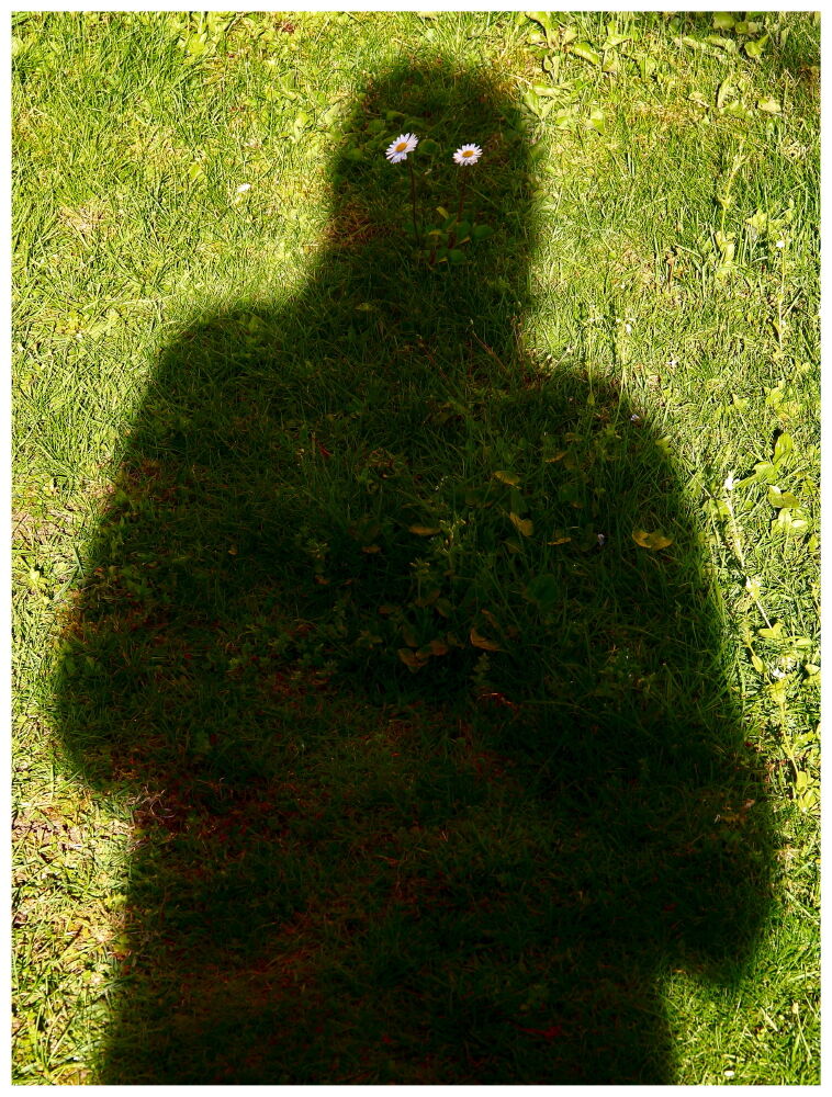 Autoritratto .... green