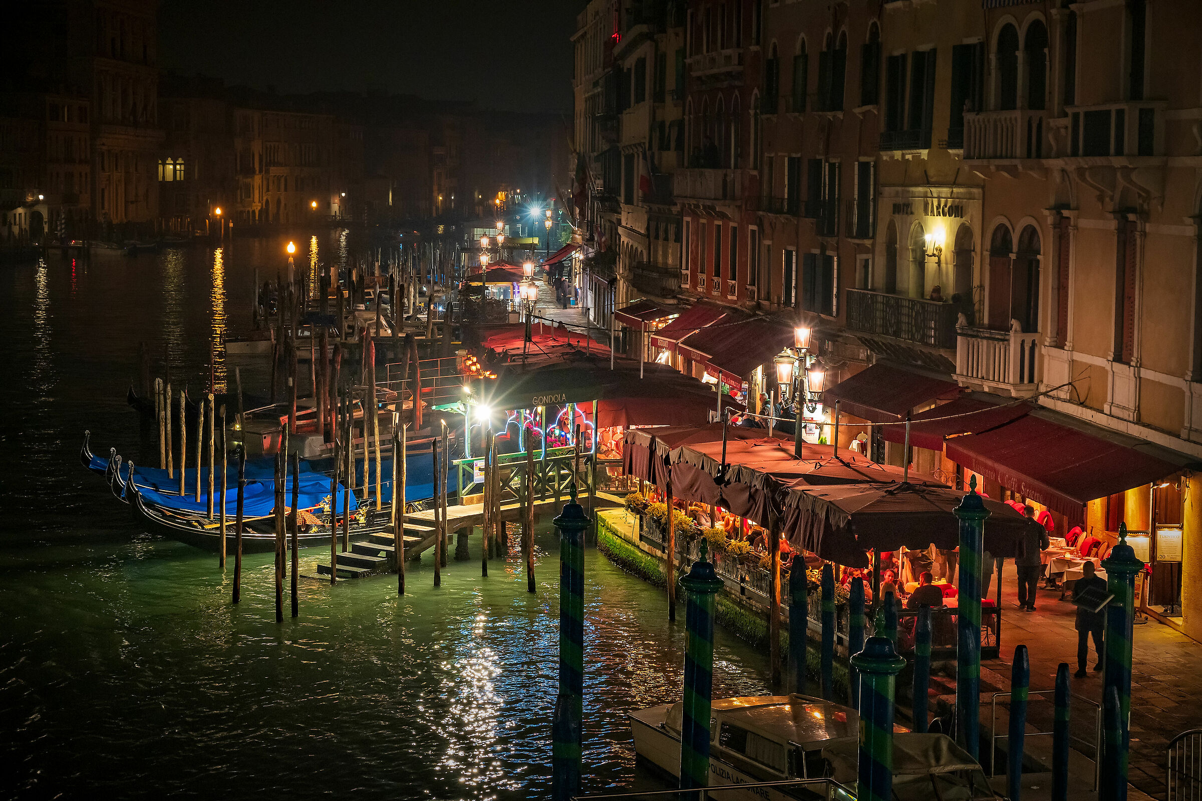 Venice Jungle, California