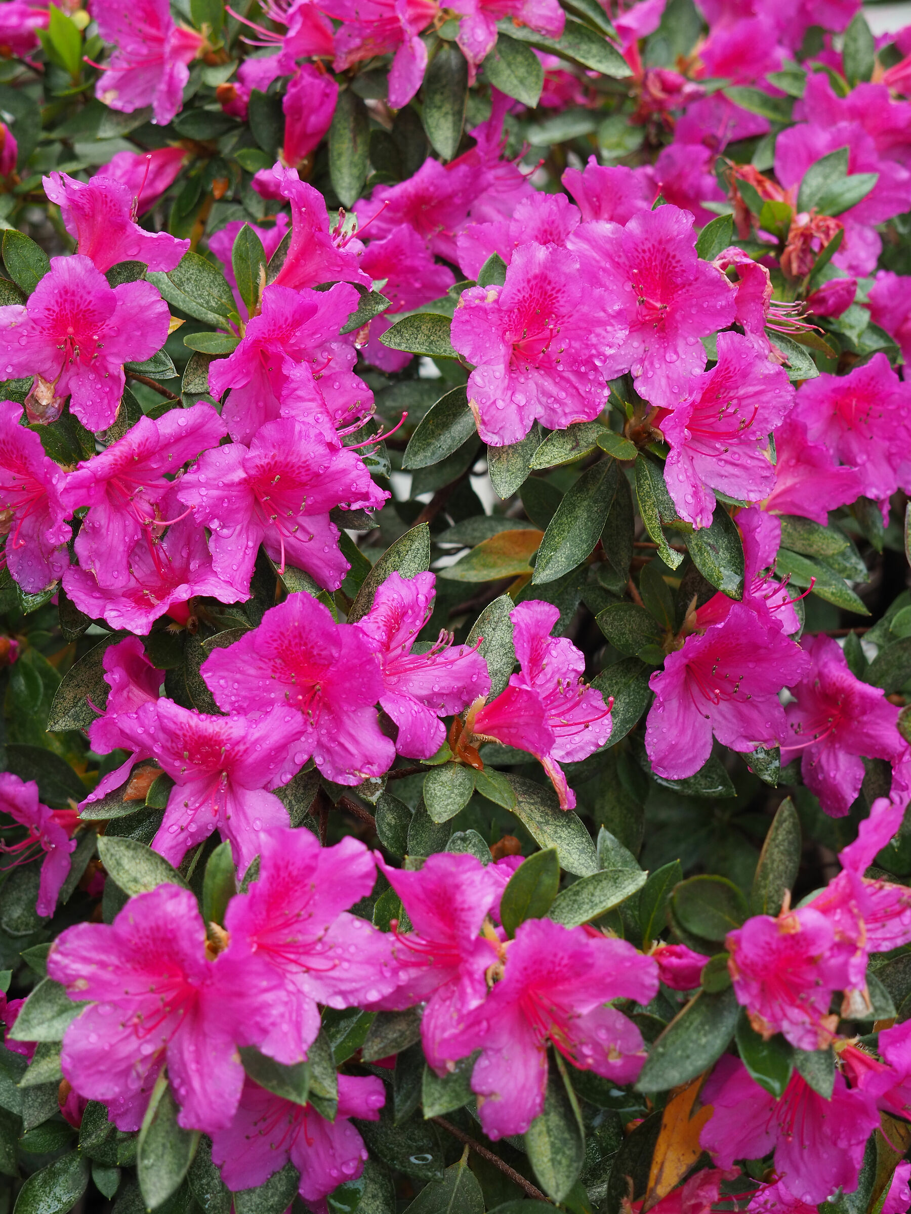 Sotto casa - Prova 1