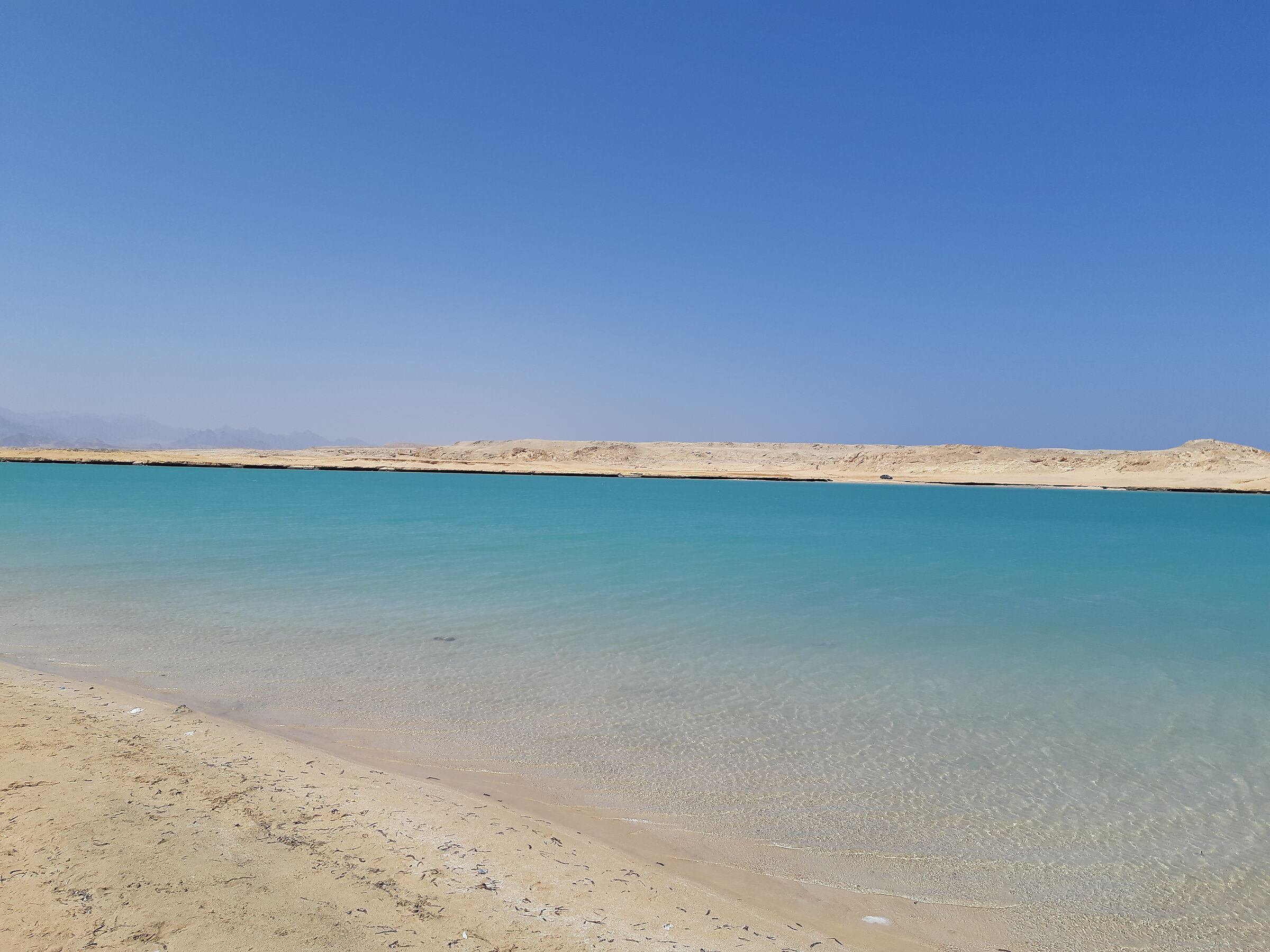 Ras Mohammed: Lago salato (Egitto)