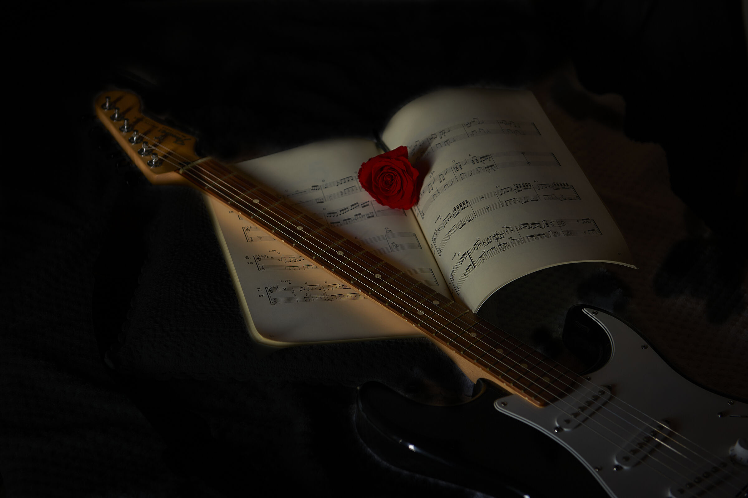 Rosa tra le note....