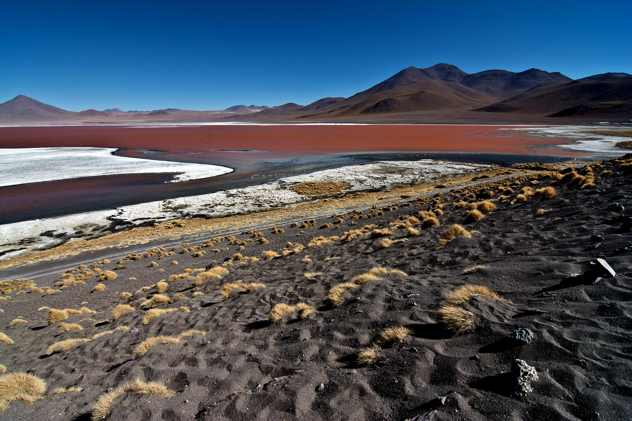 Laguna colorada