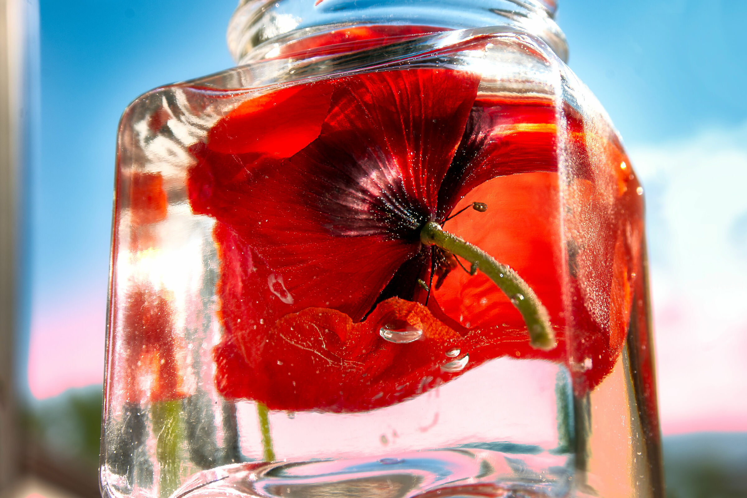 a test during quarantine