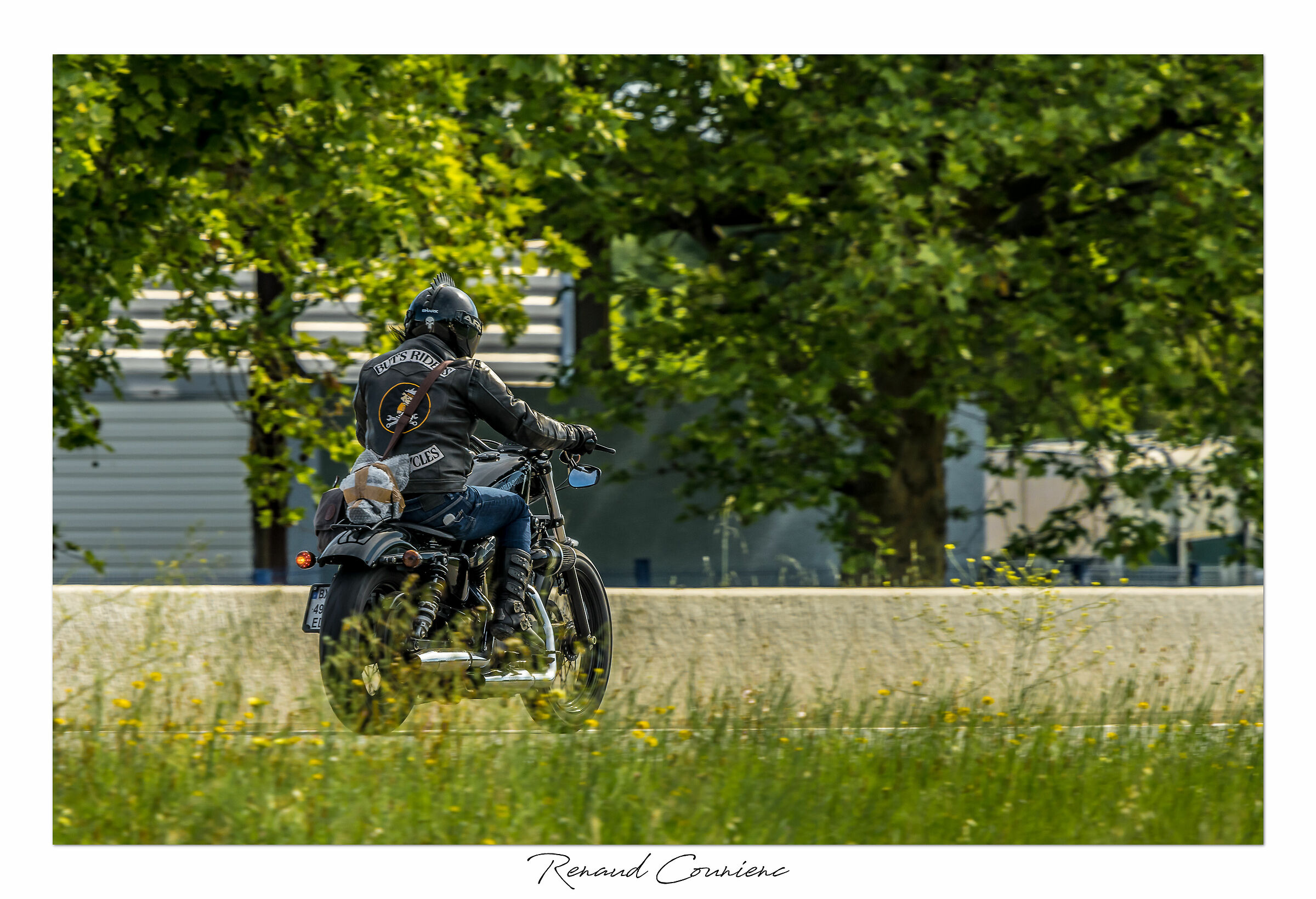 Lo squalo su una Harley!