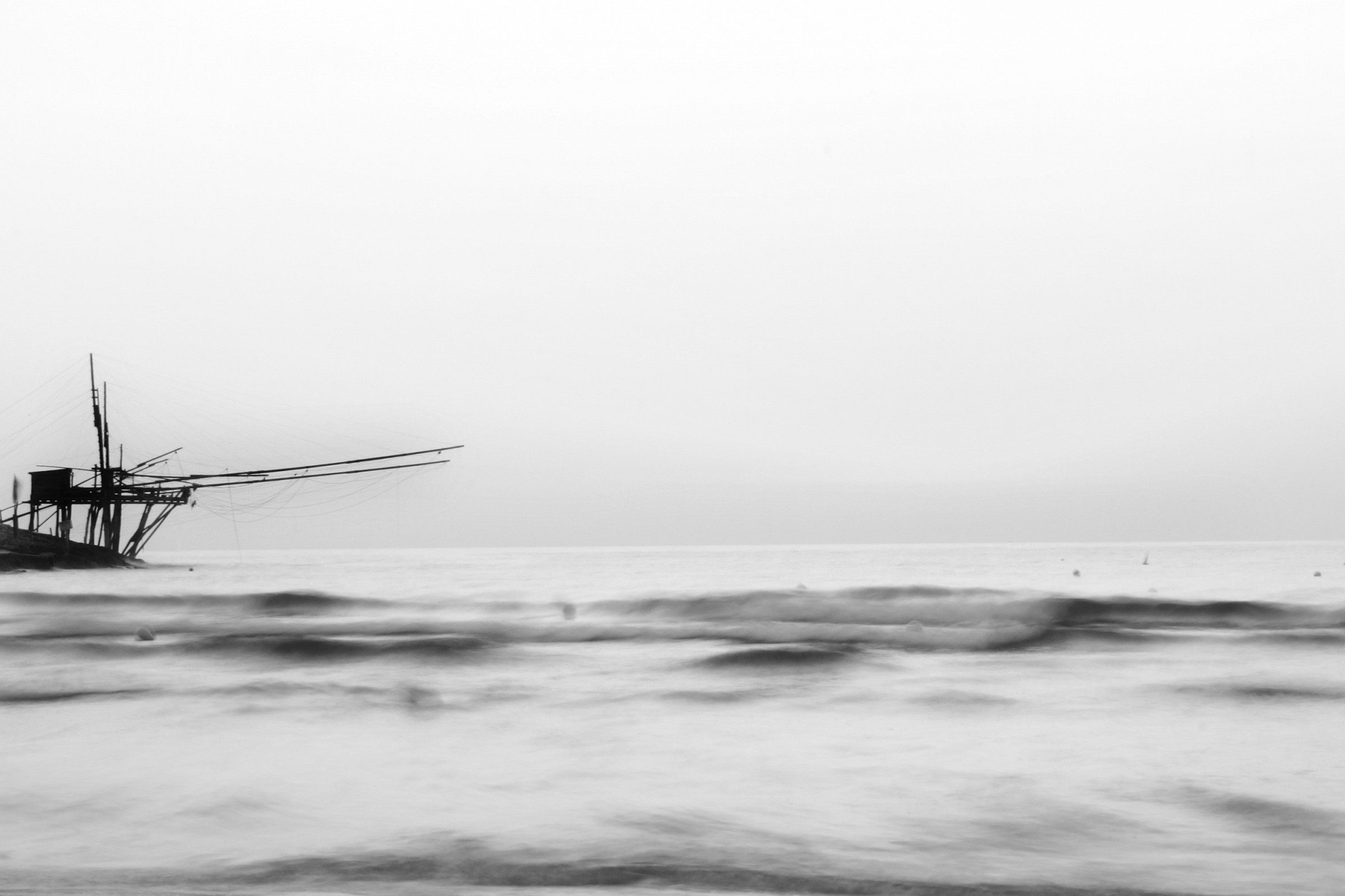 And ... the cicadas (Vieste)