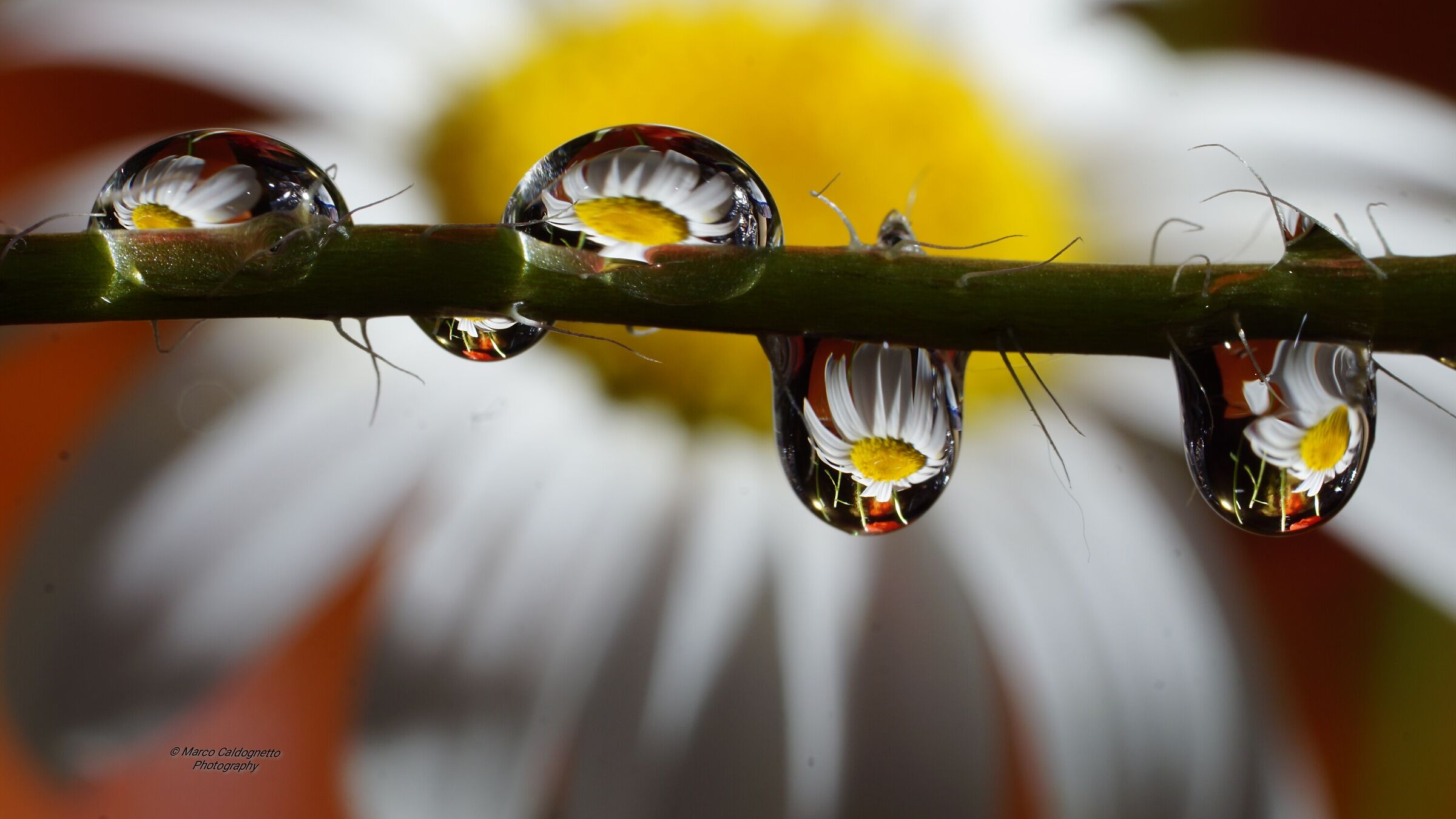 "Per mezzo dell' acqua, diamo vita a tutto."