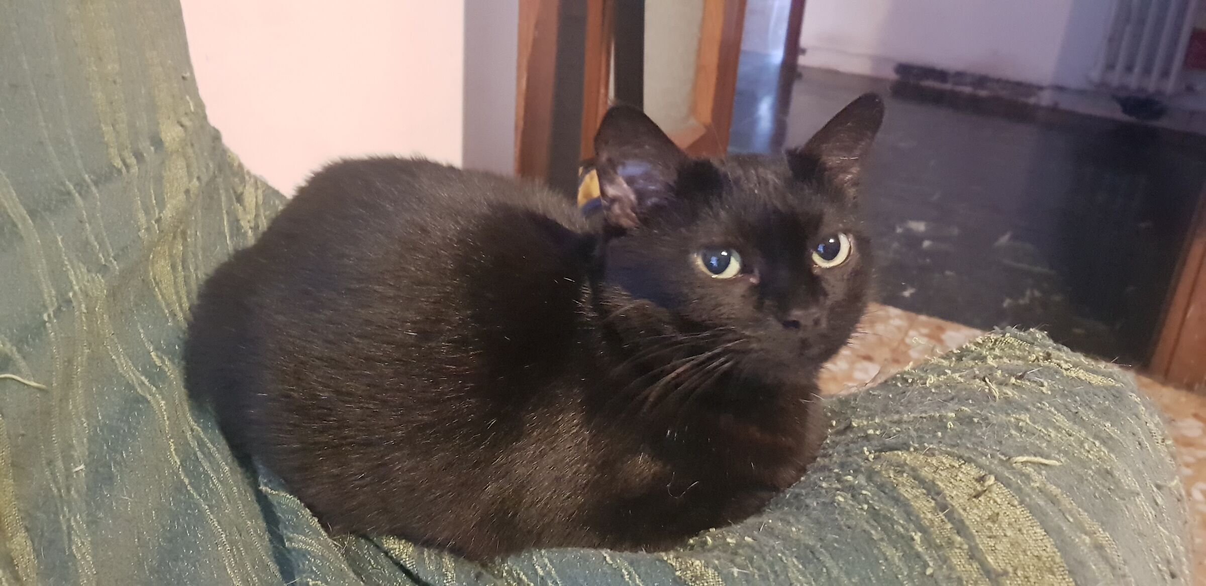 Pif