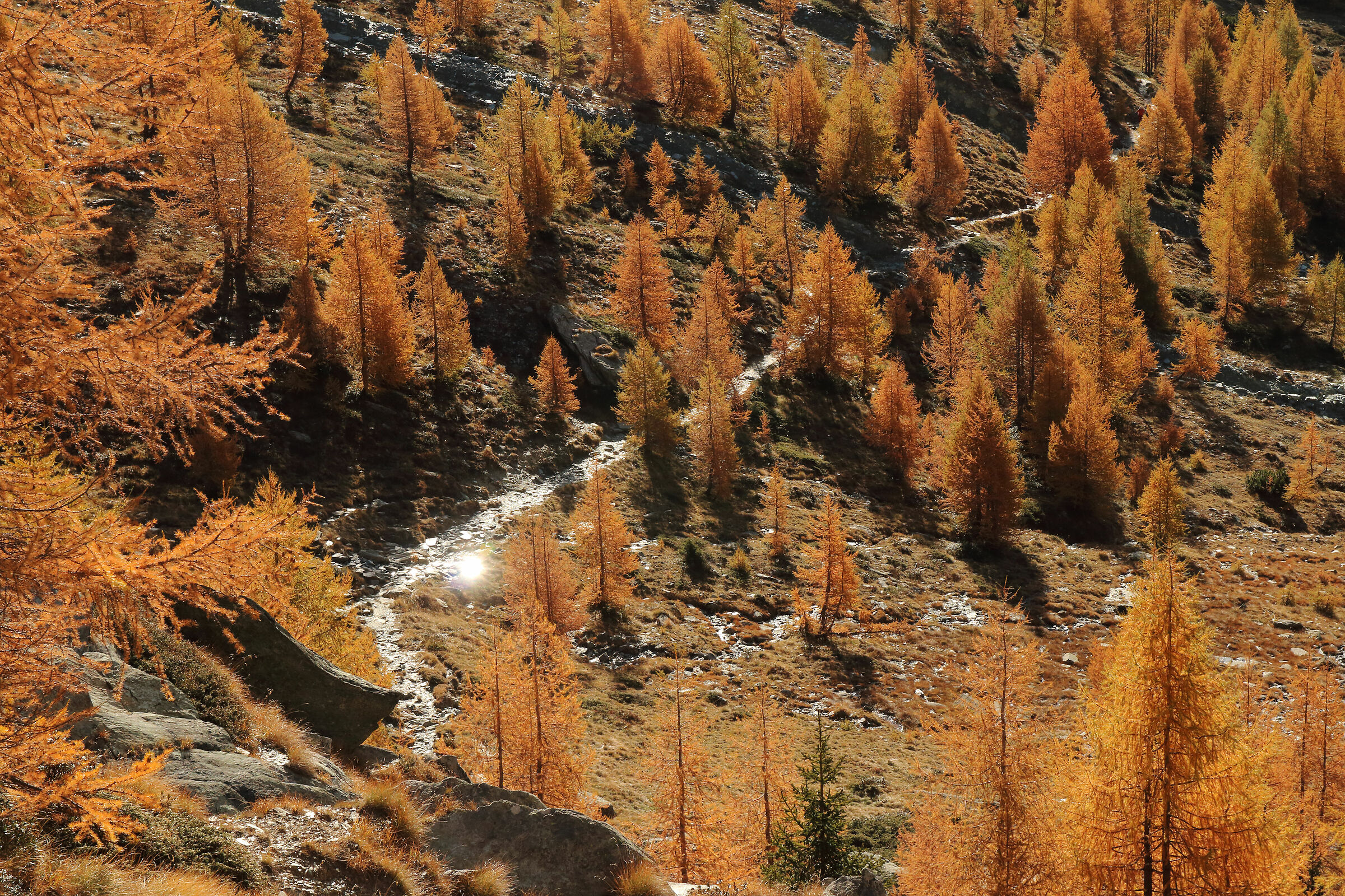 il sentiero del Bernina