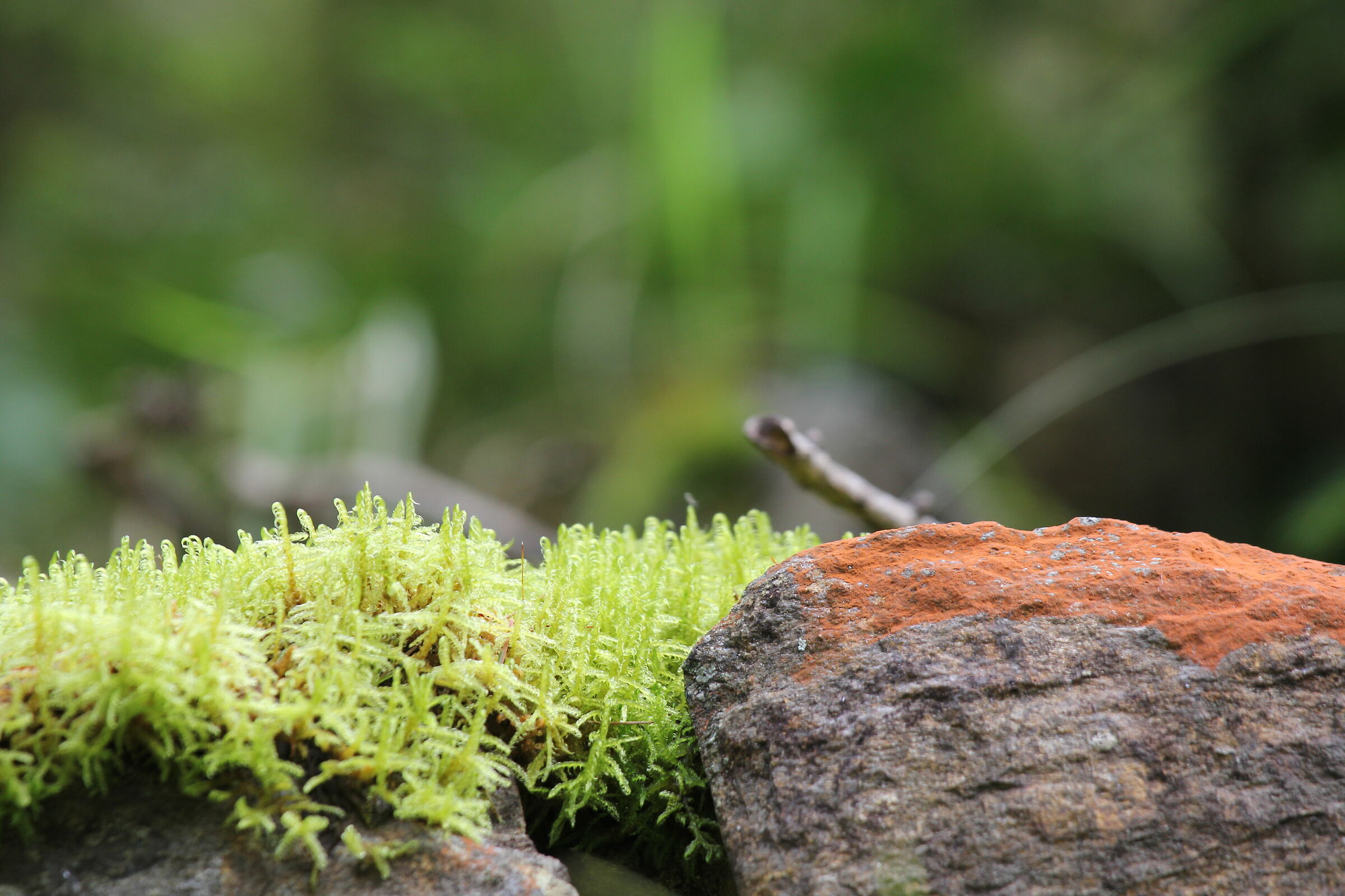 ripple on the stones