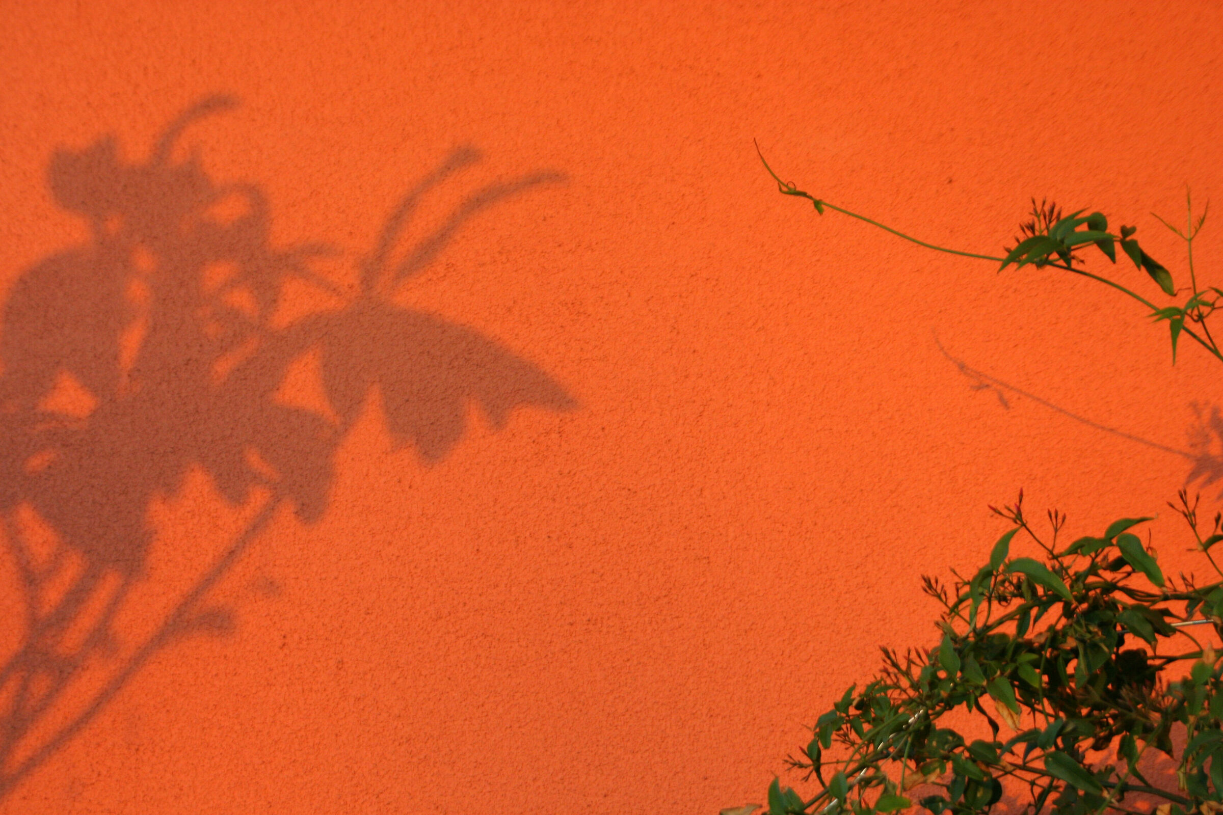 drawings on the wall