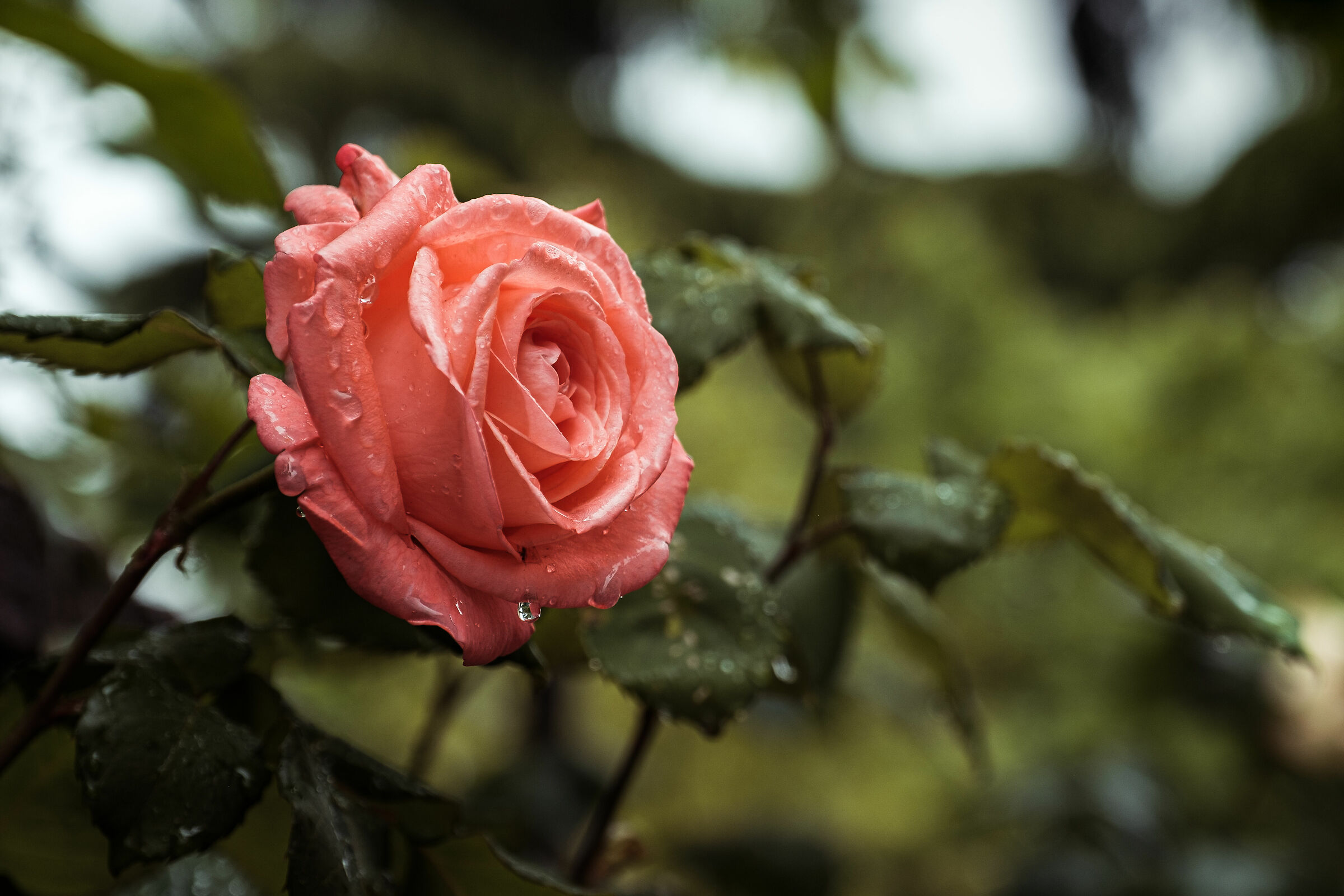 La quiete dopo la tempesta - Brescia
