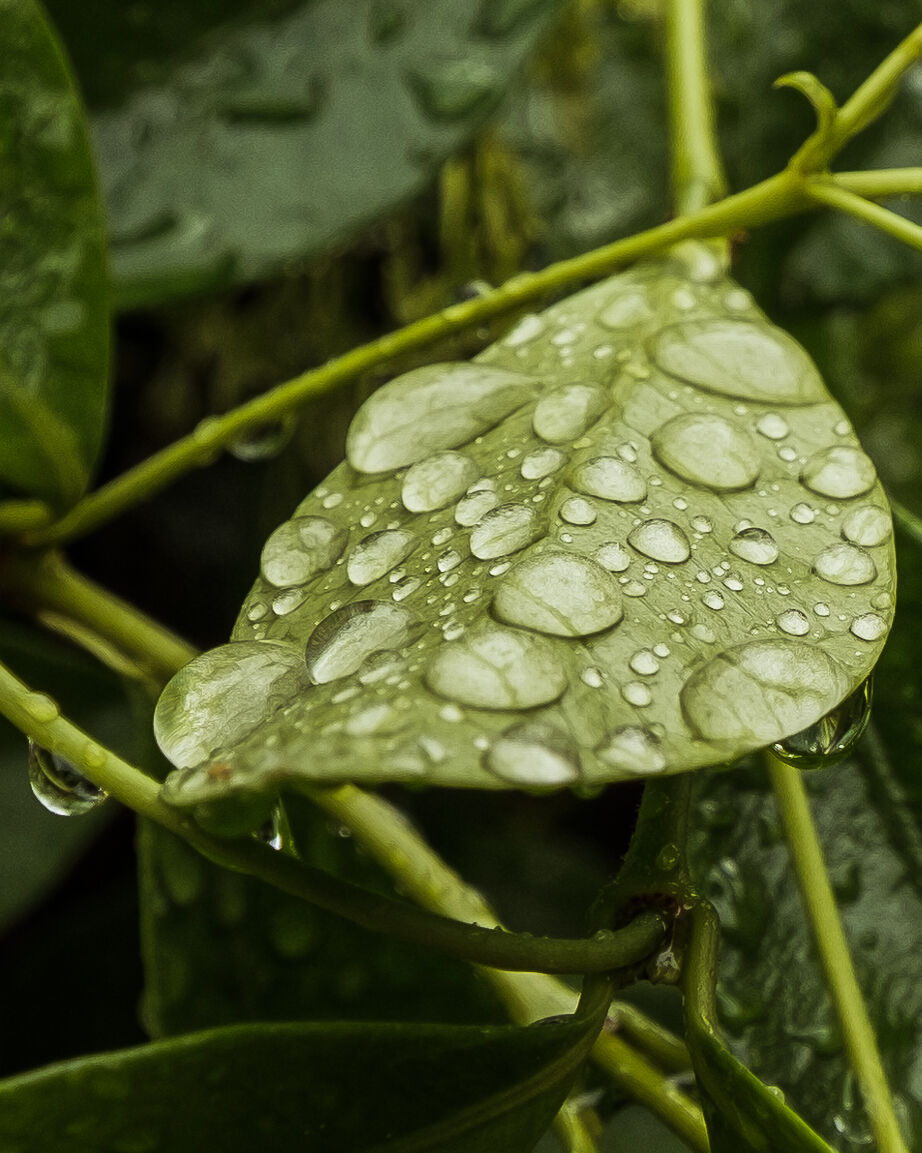 La quiete dopo la tempesta - Brescia